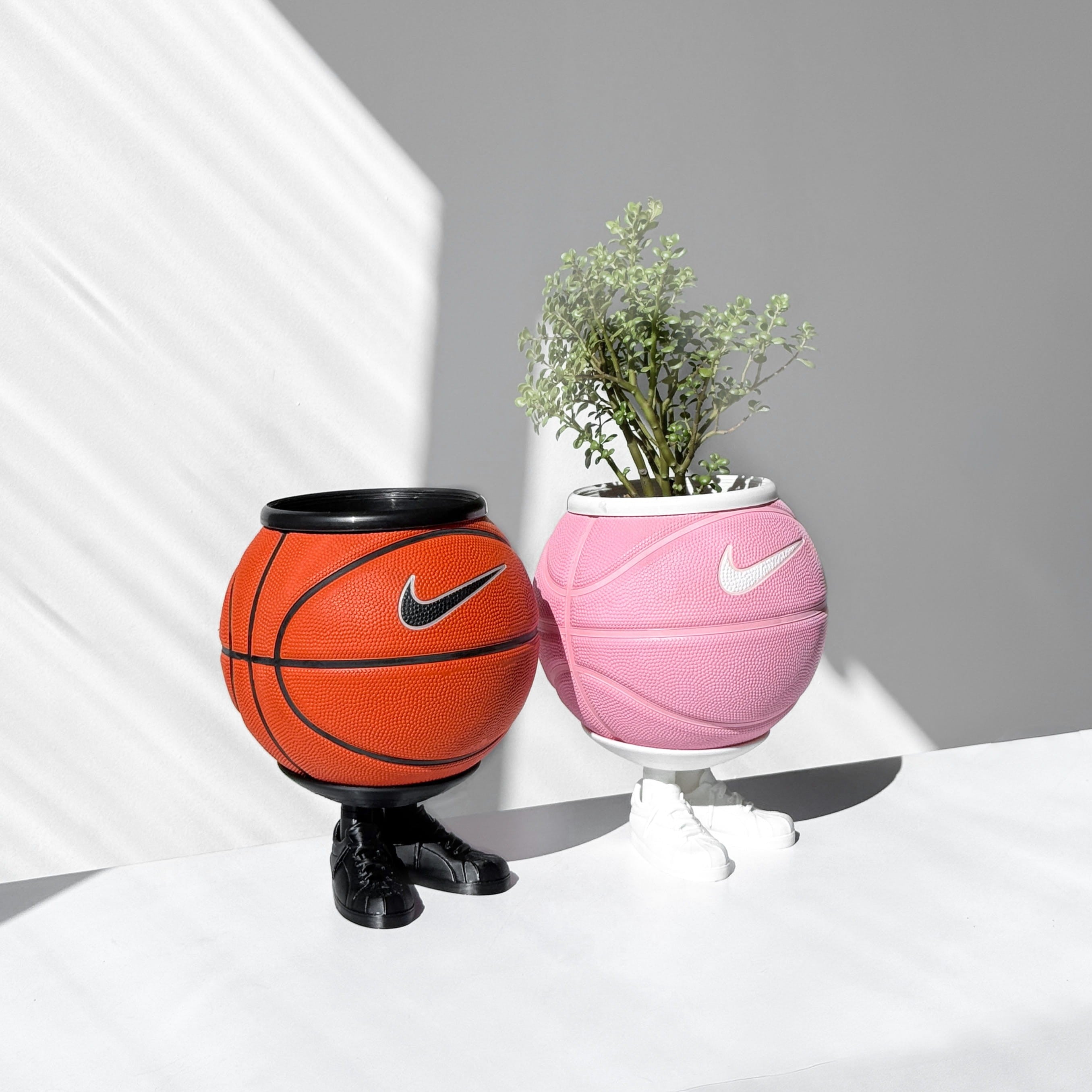 Basket plants