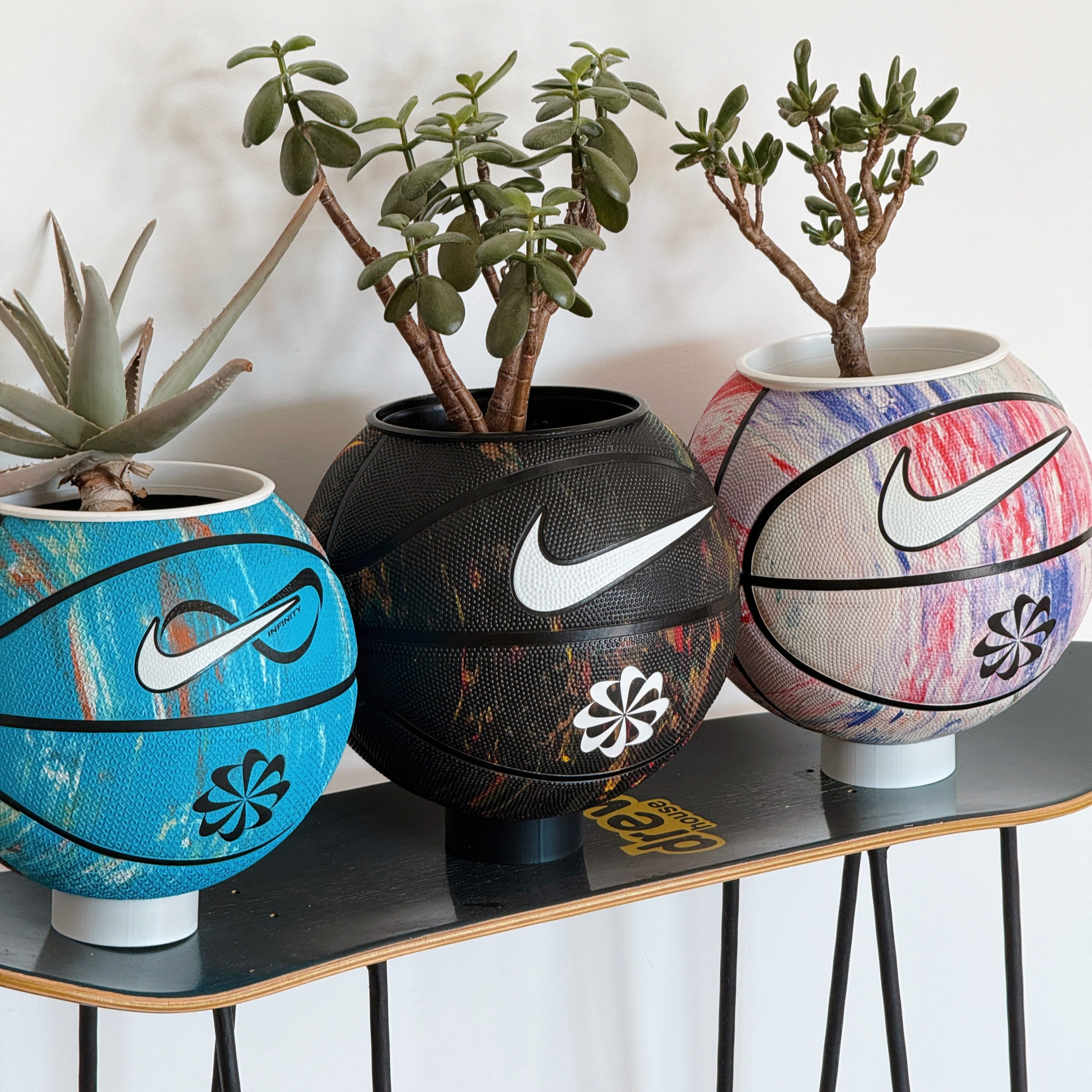 Basket plants