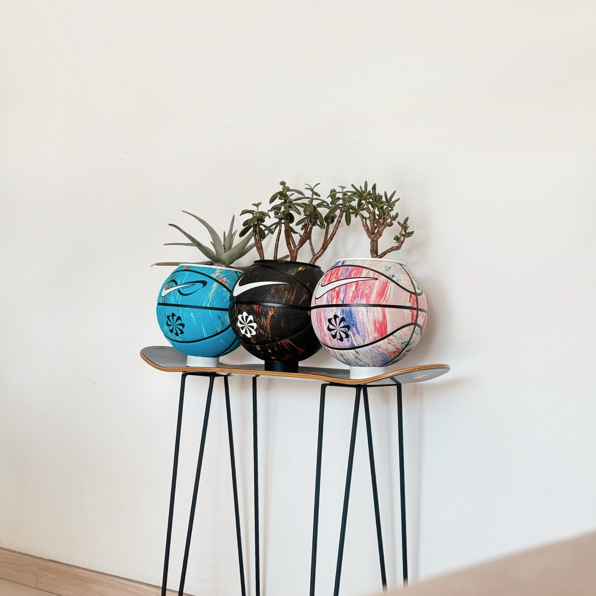 Basket plants