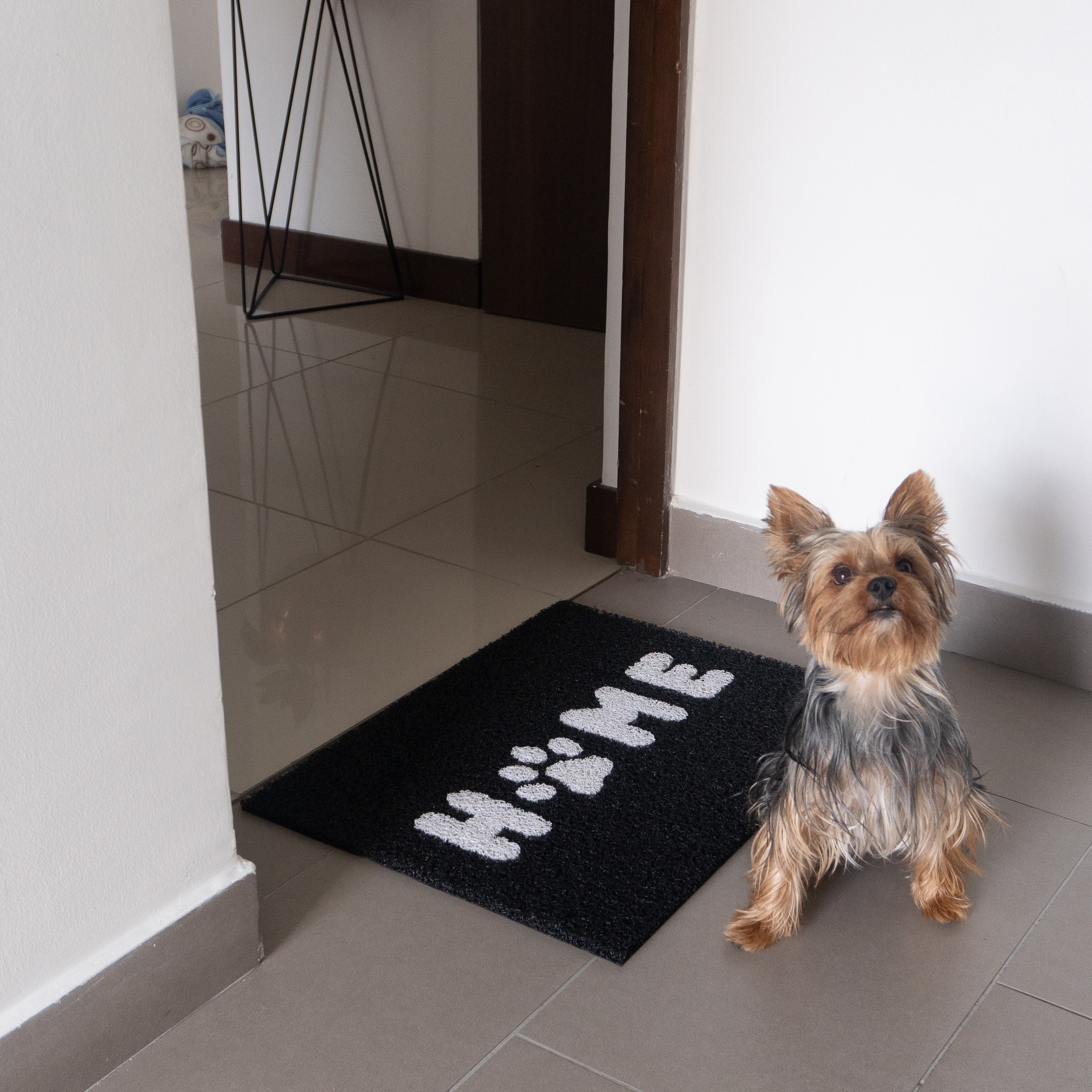 Tapete pet home