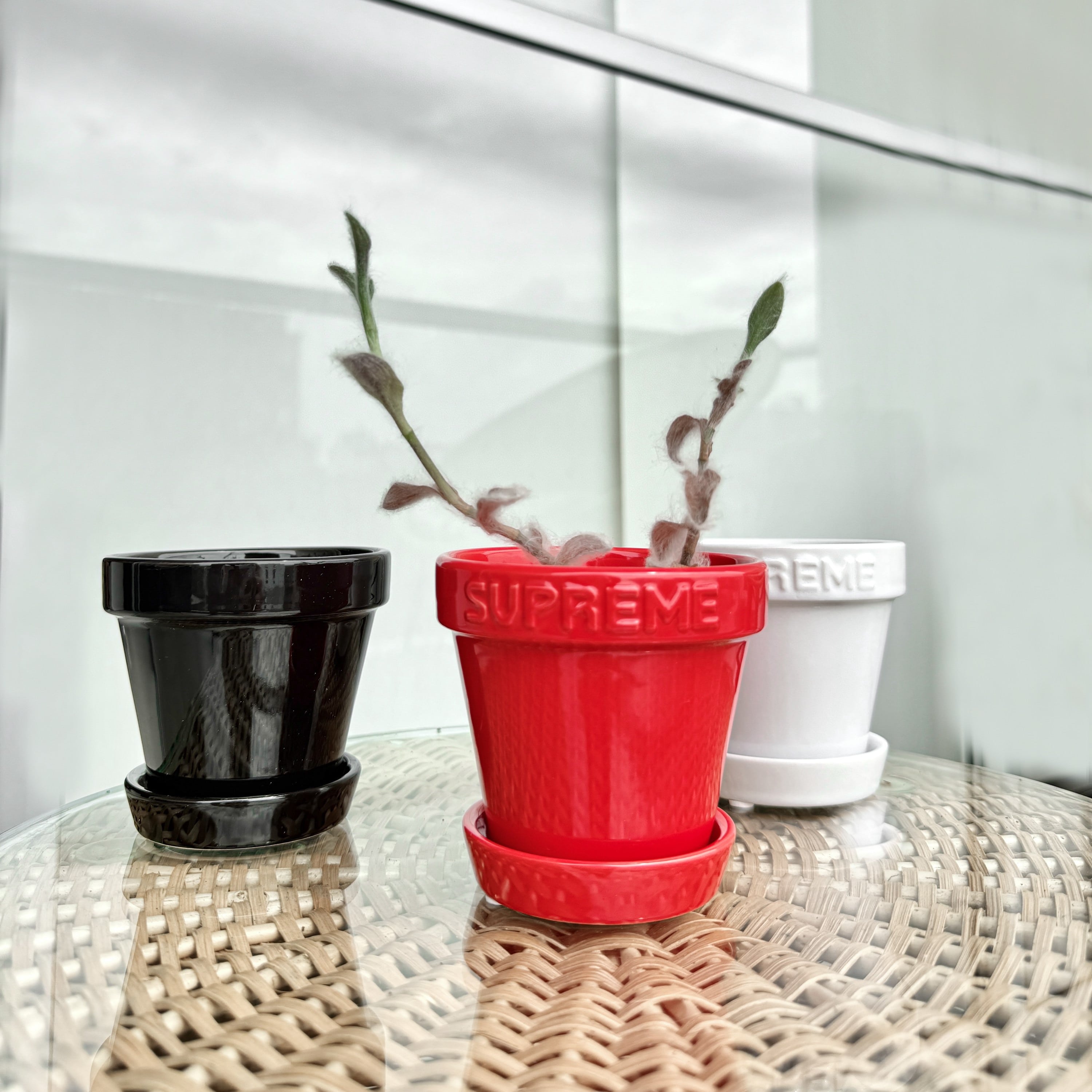 Set x3 Mini Planters cerámica Supreme