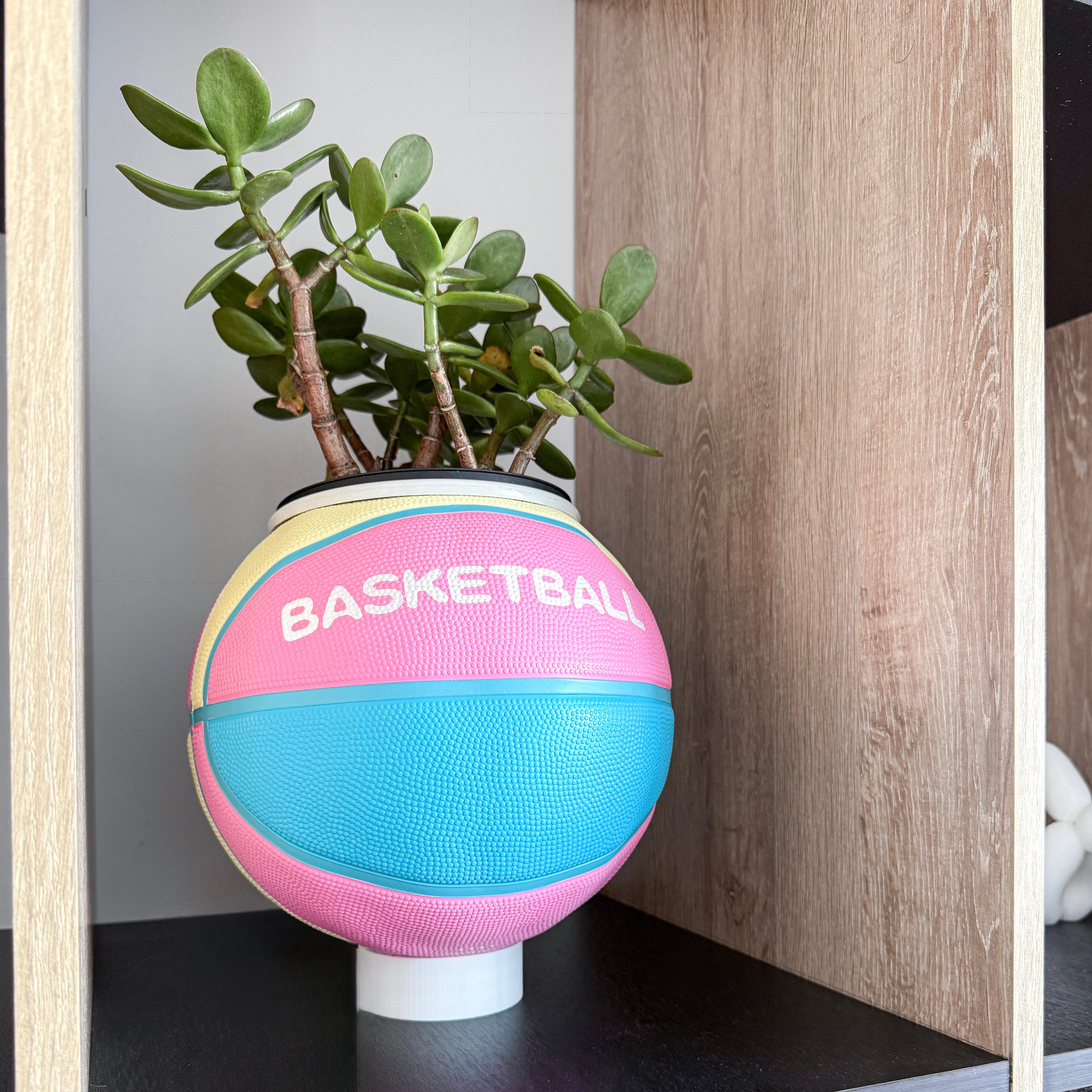 Matera basket plant pastel