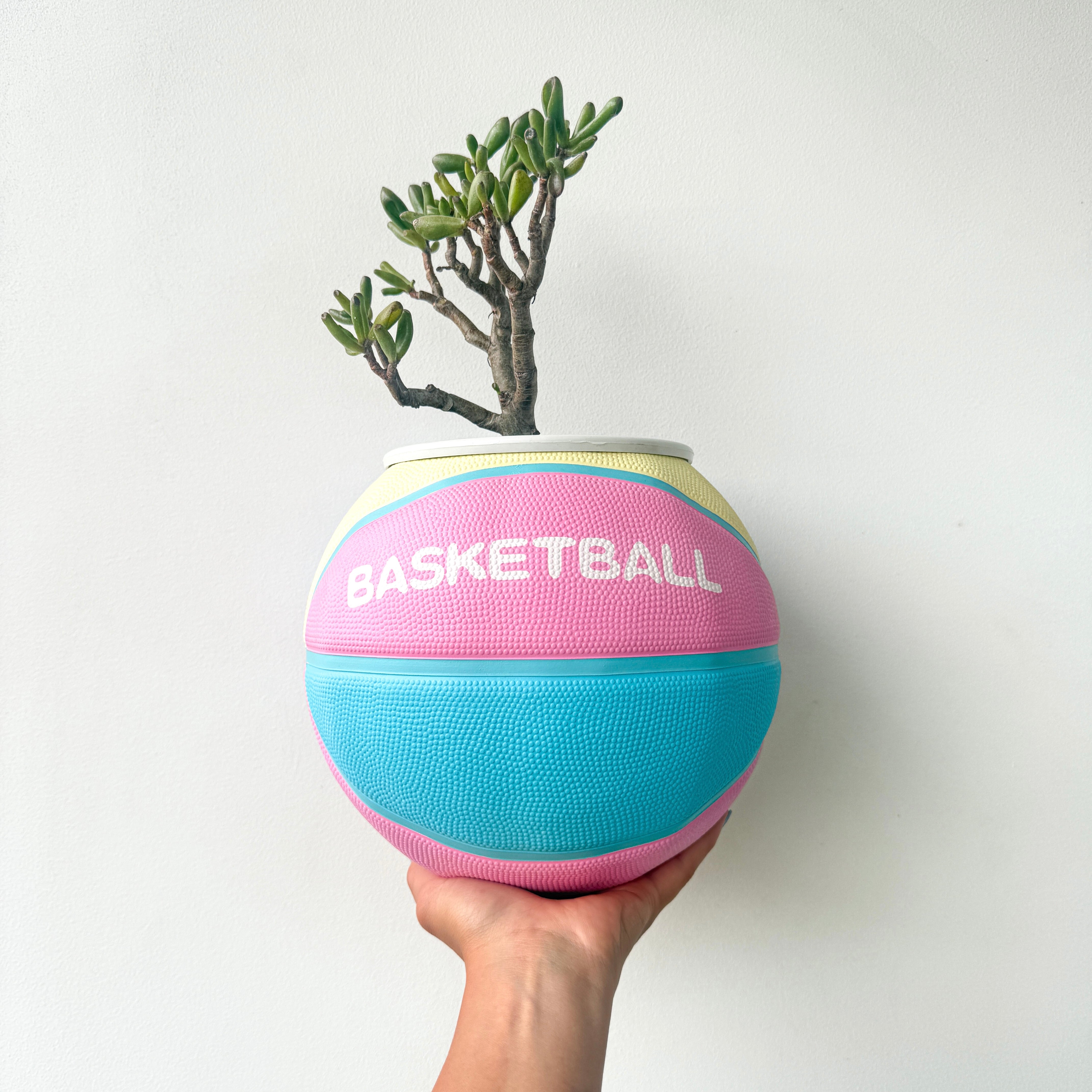 Matera basket plant pastel