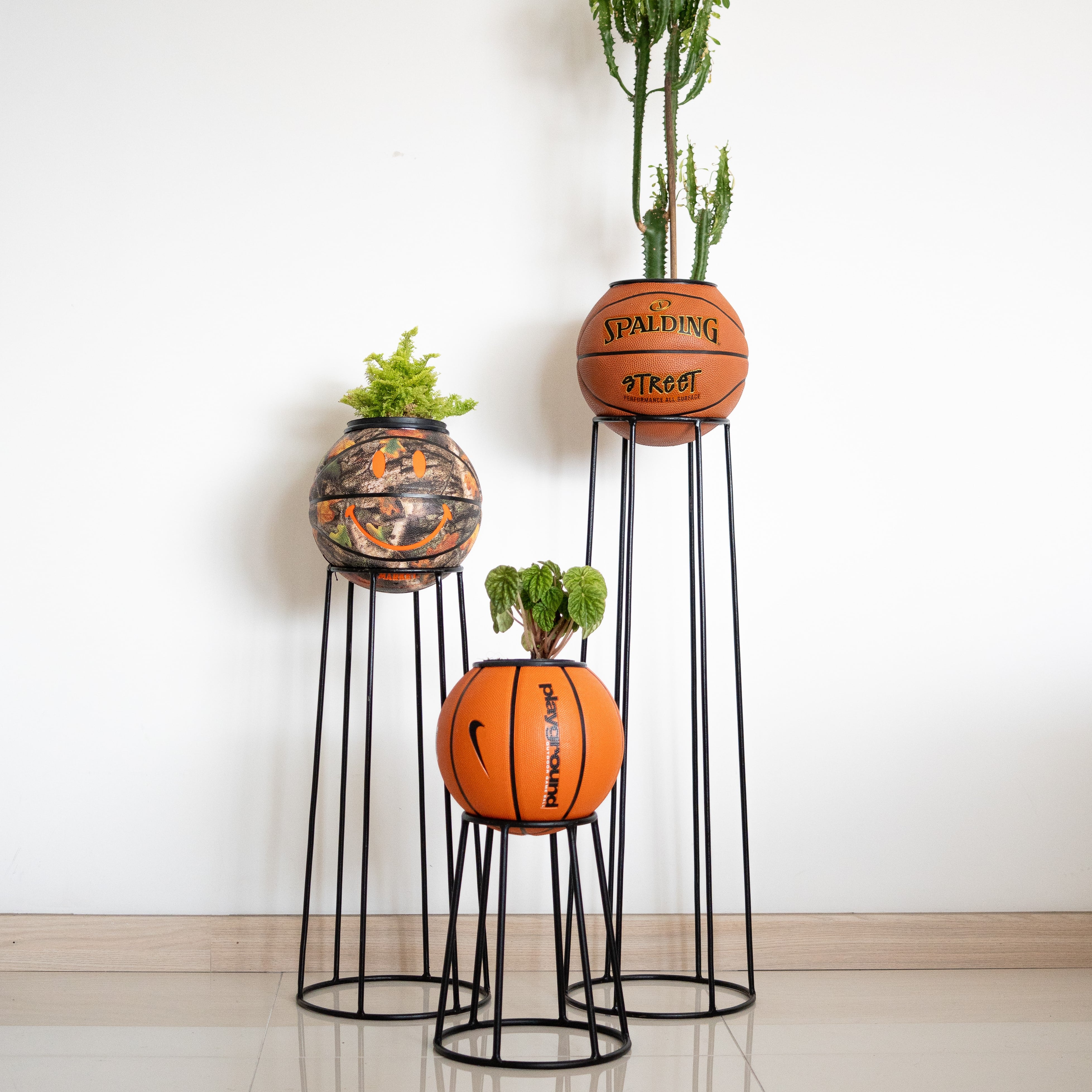 Soportes para Basket Plants