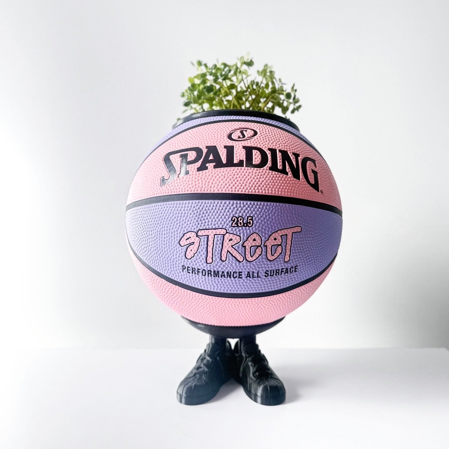 Matera basket plant Spalding Street pink