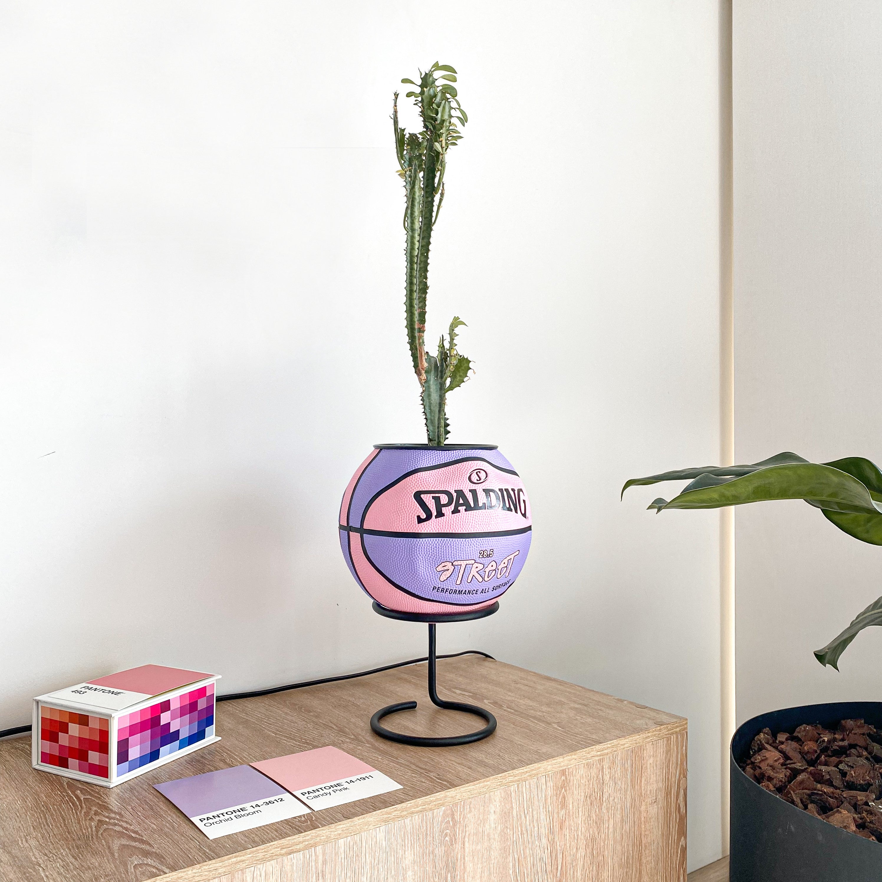 Matera basket plant Spalding Street pink