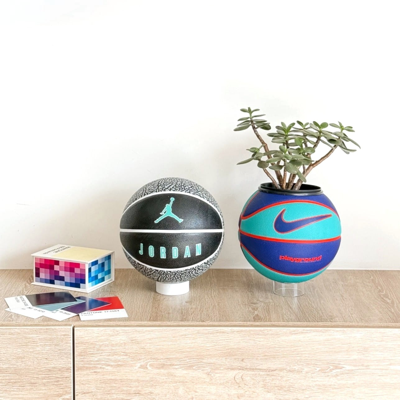 Matera basket plant Jordan Elephant