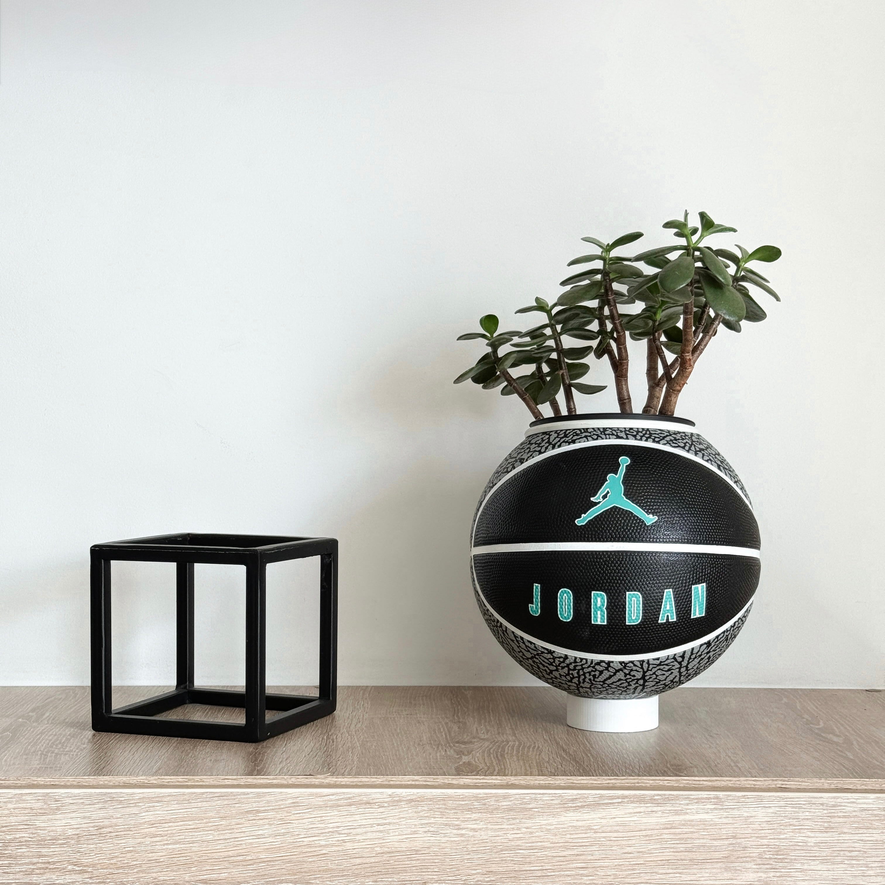 Matera basket plant Jordan Elephant