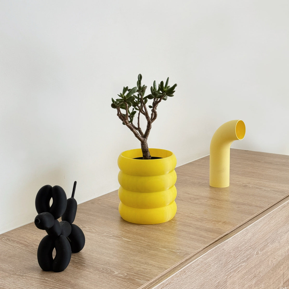 Matera Donut 3D