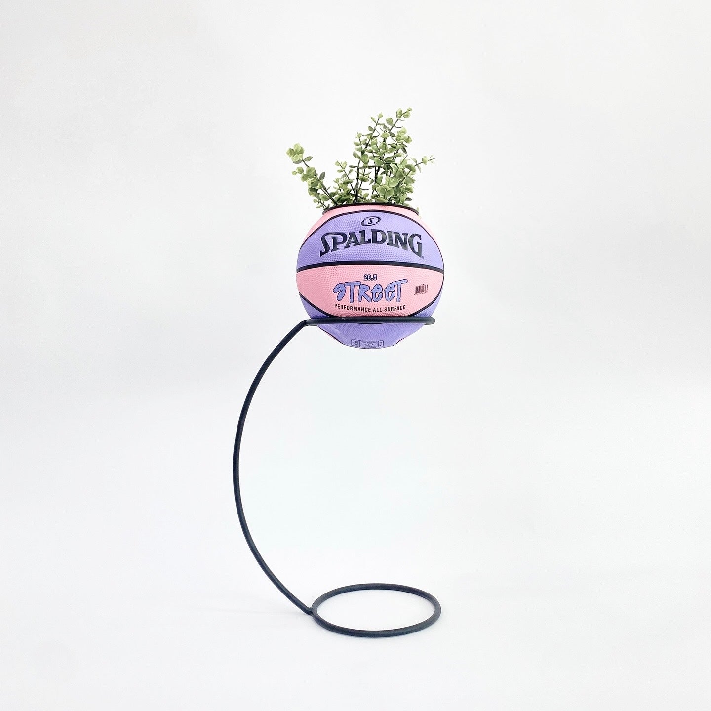 Matera basket plant Spalding Street pink