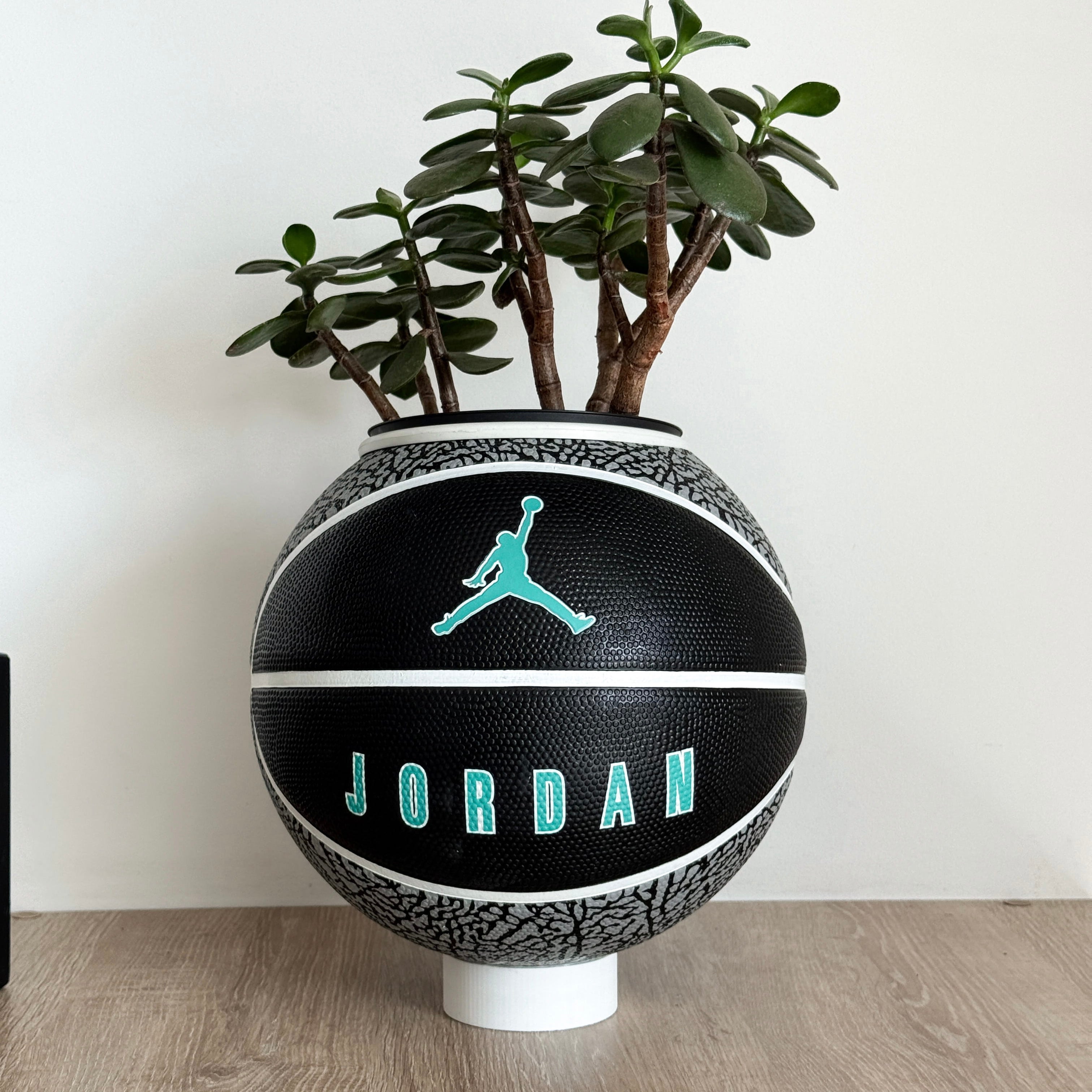 Matera basket plant Jordan Elephant