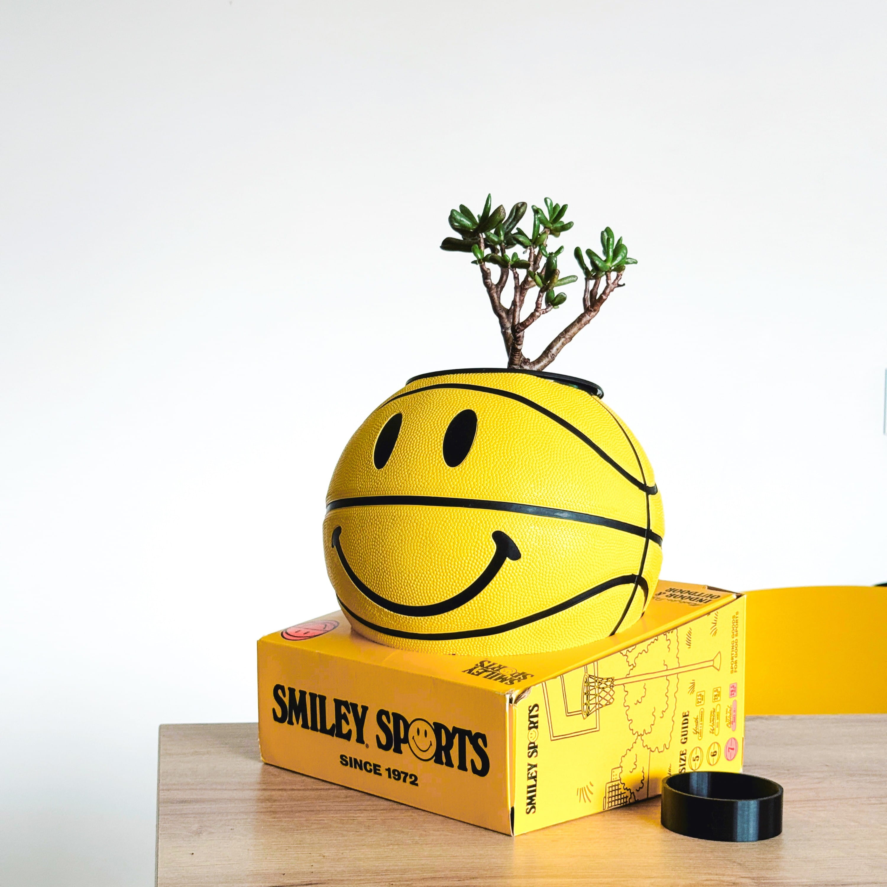 Matera basket plant Smiley