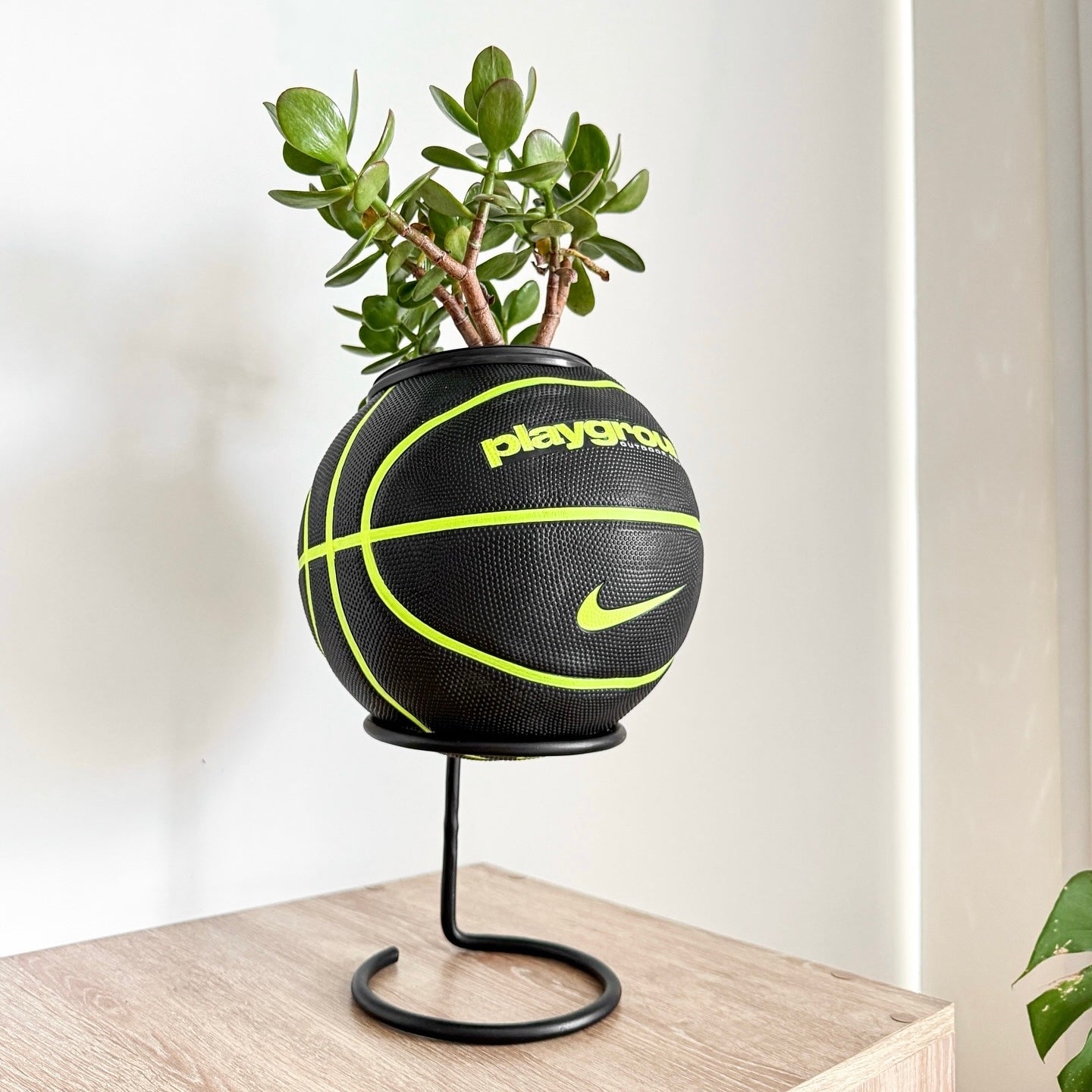 Matera basket plant PG Neon