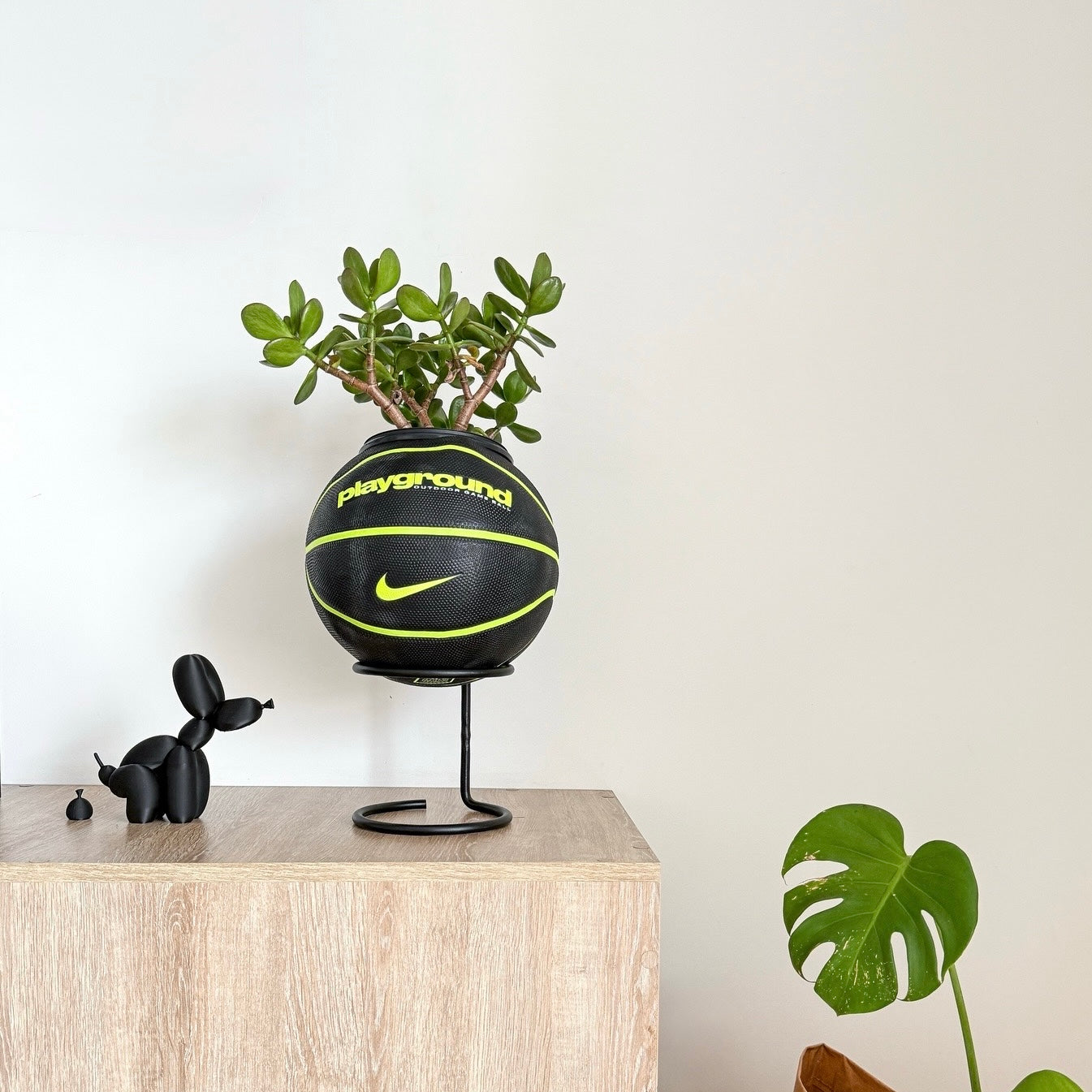 Matera basket plant PG Neon