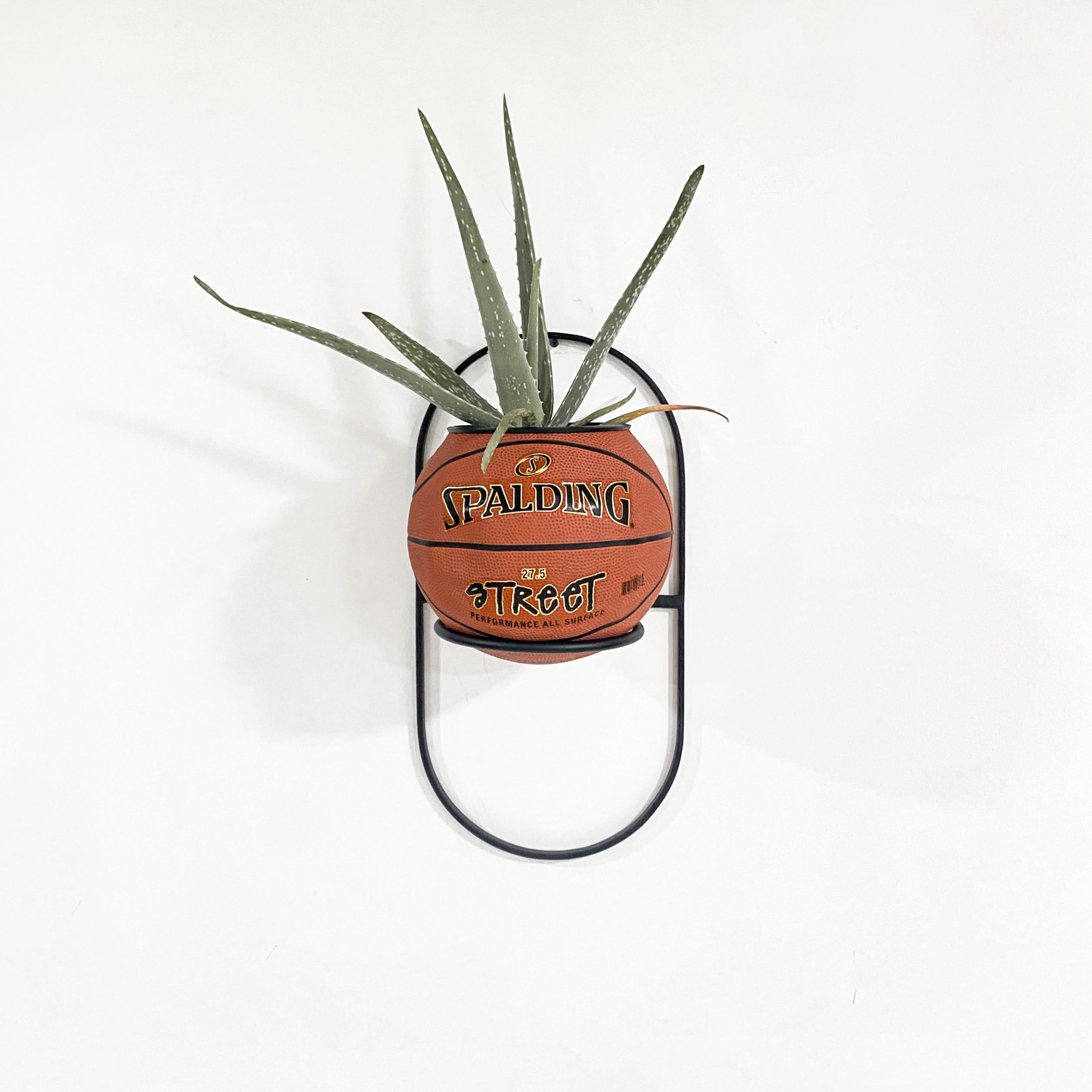 Matera basket plant Spalding Street