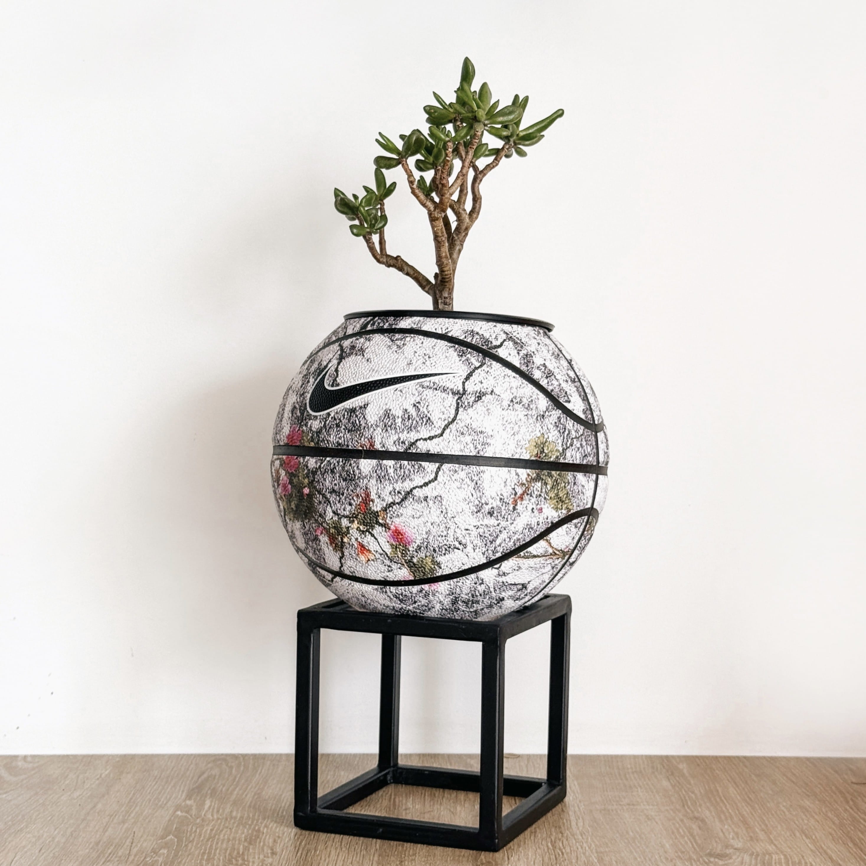 Matera basket plant Floral