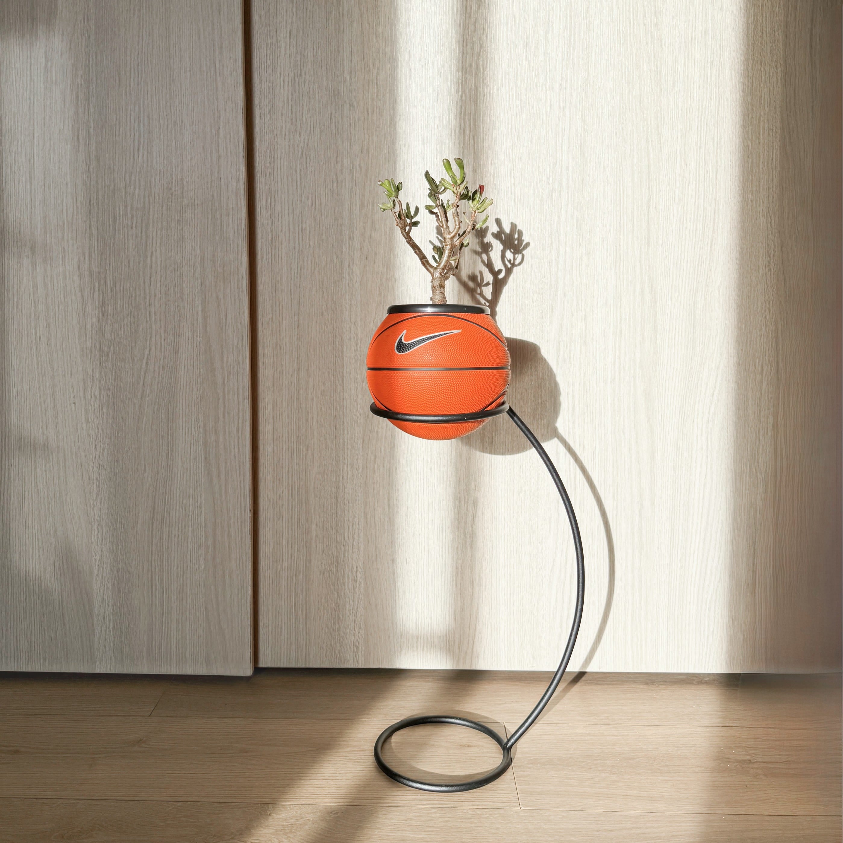 Soporte crooked plant