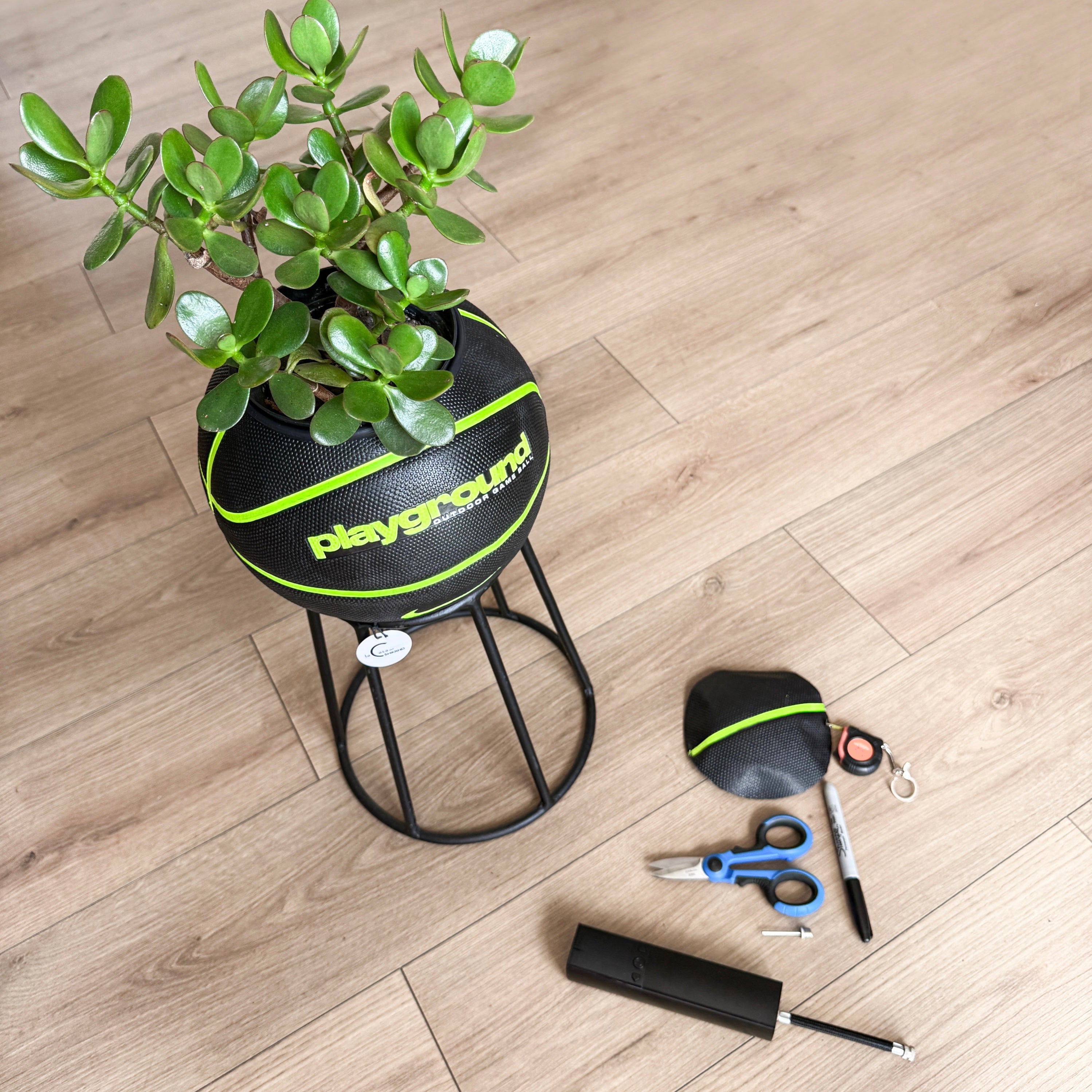 Matera basket plant PG Neon