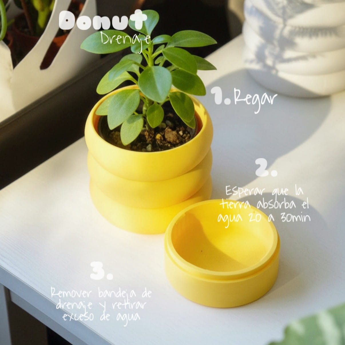 Matera Donut 3D