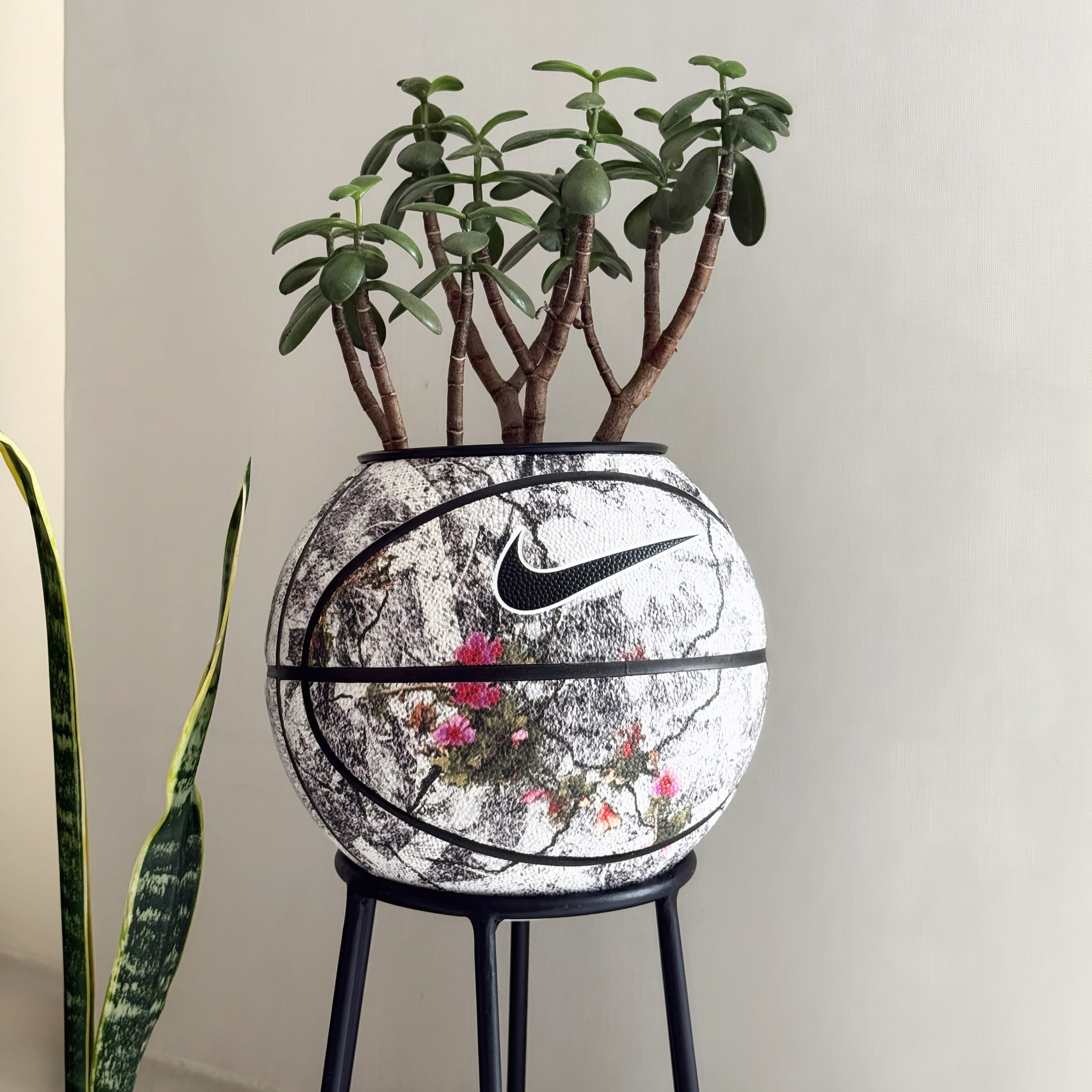 Matera basket plant Floral