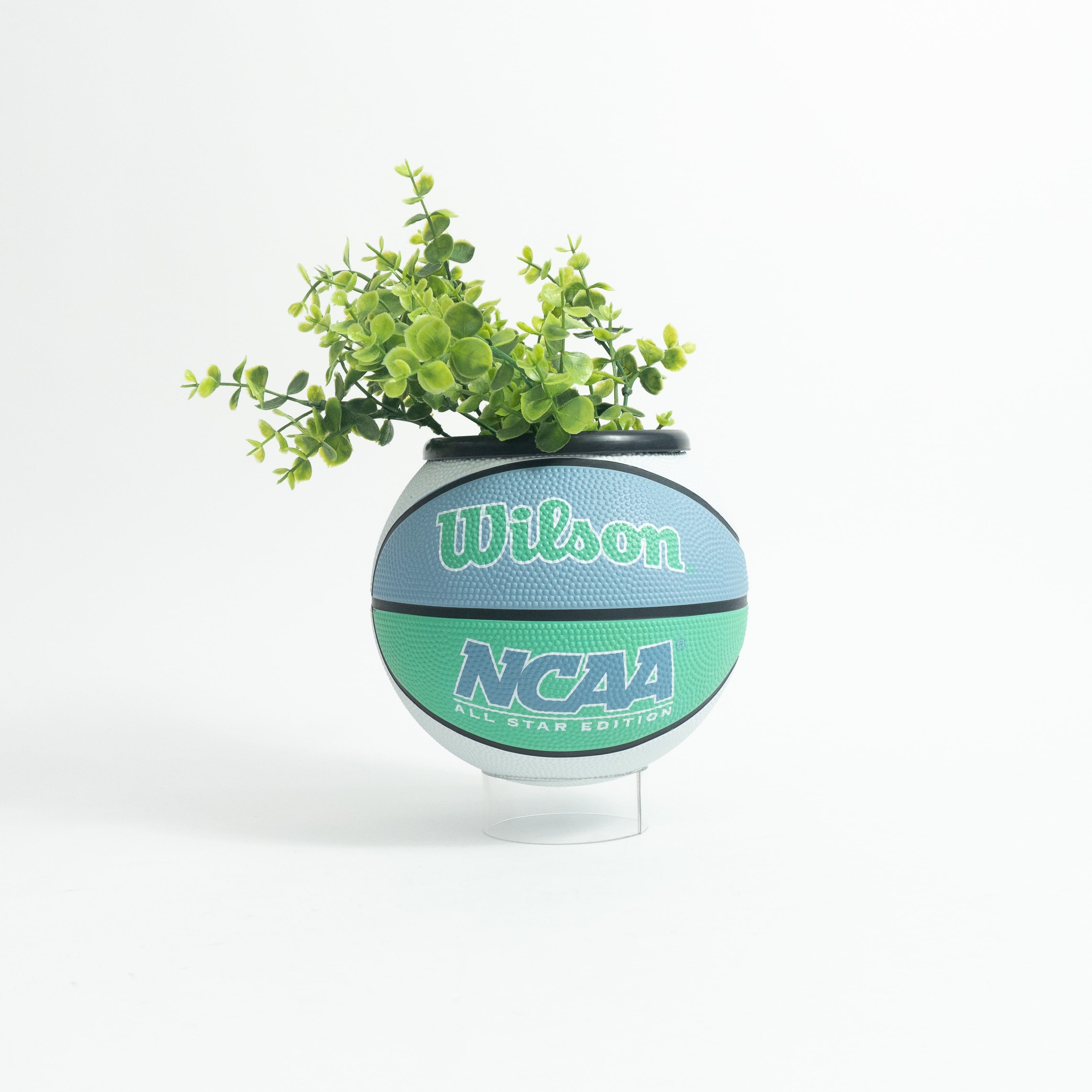 Matera mini basket plant blulemon