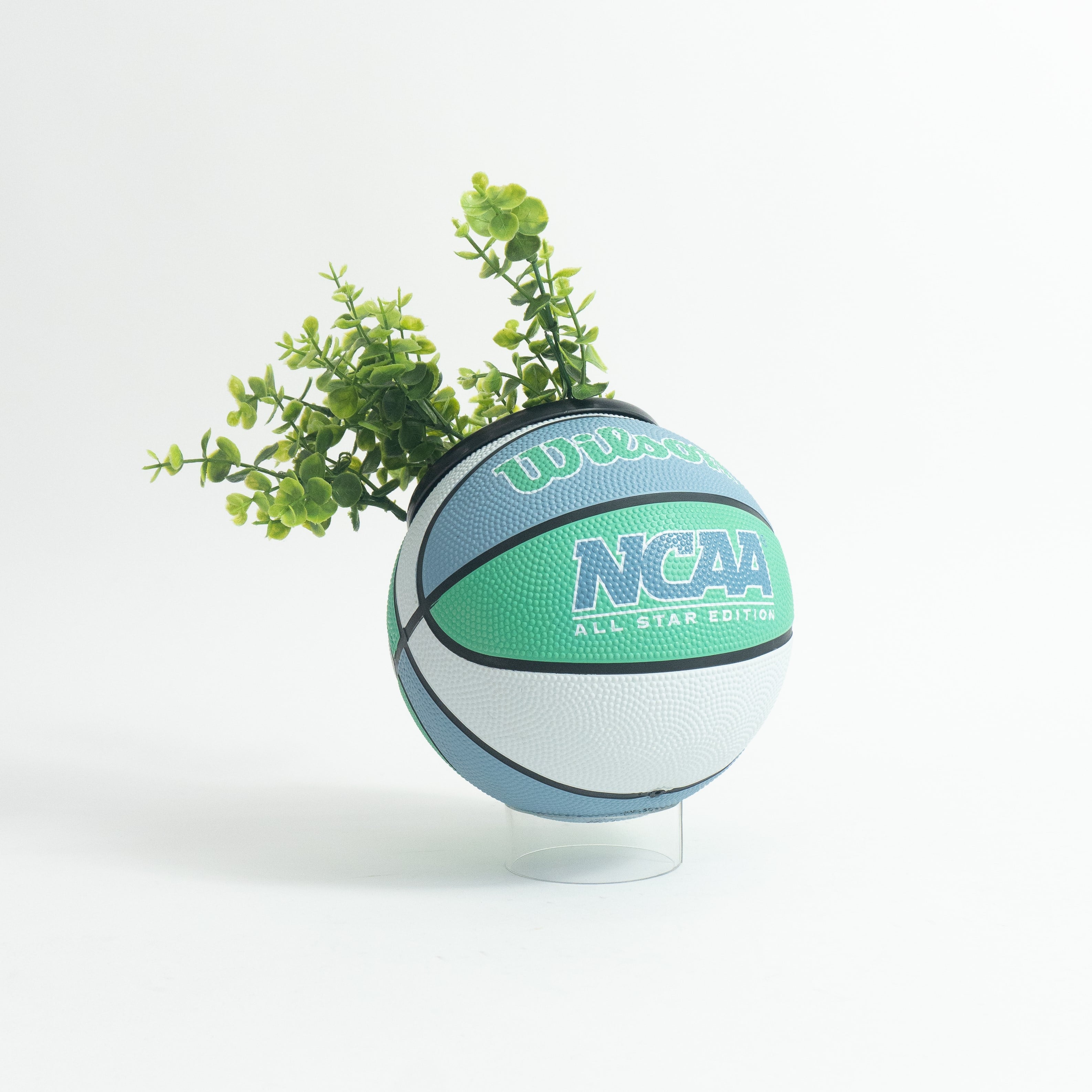 Matera mini basket plant blulemon