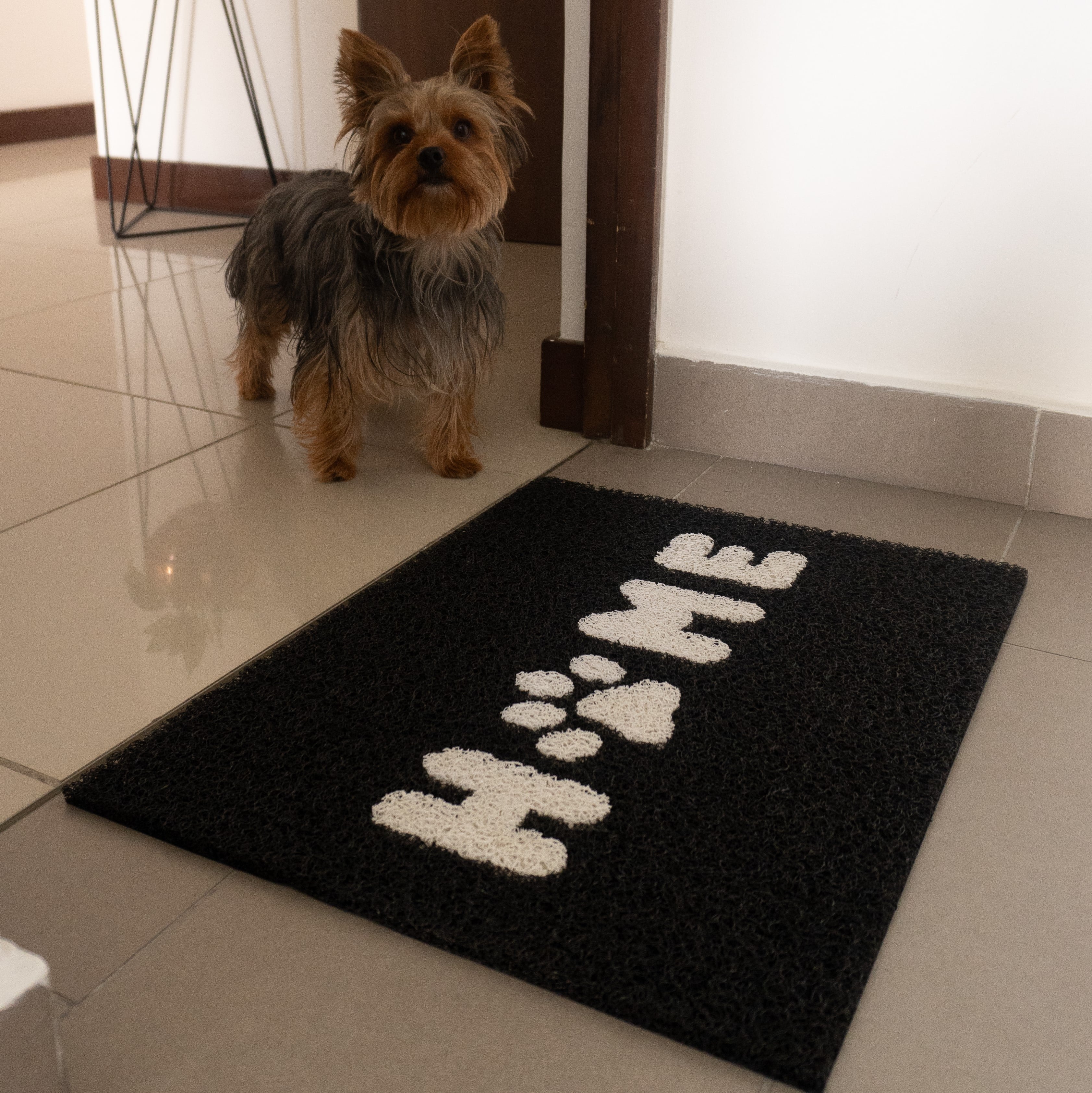 Tapete pet home
