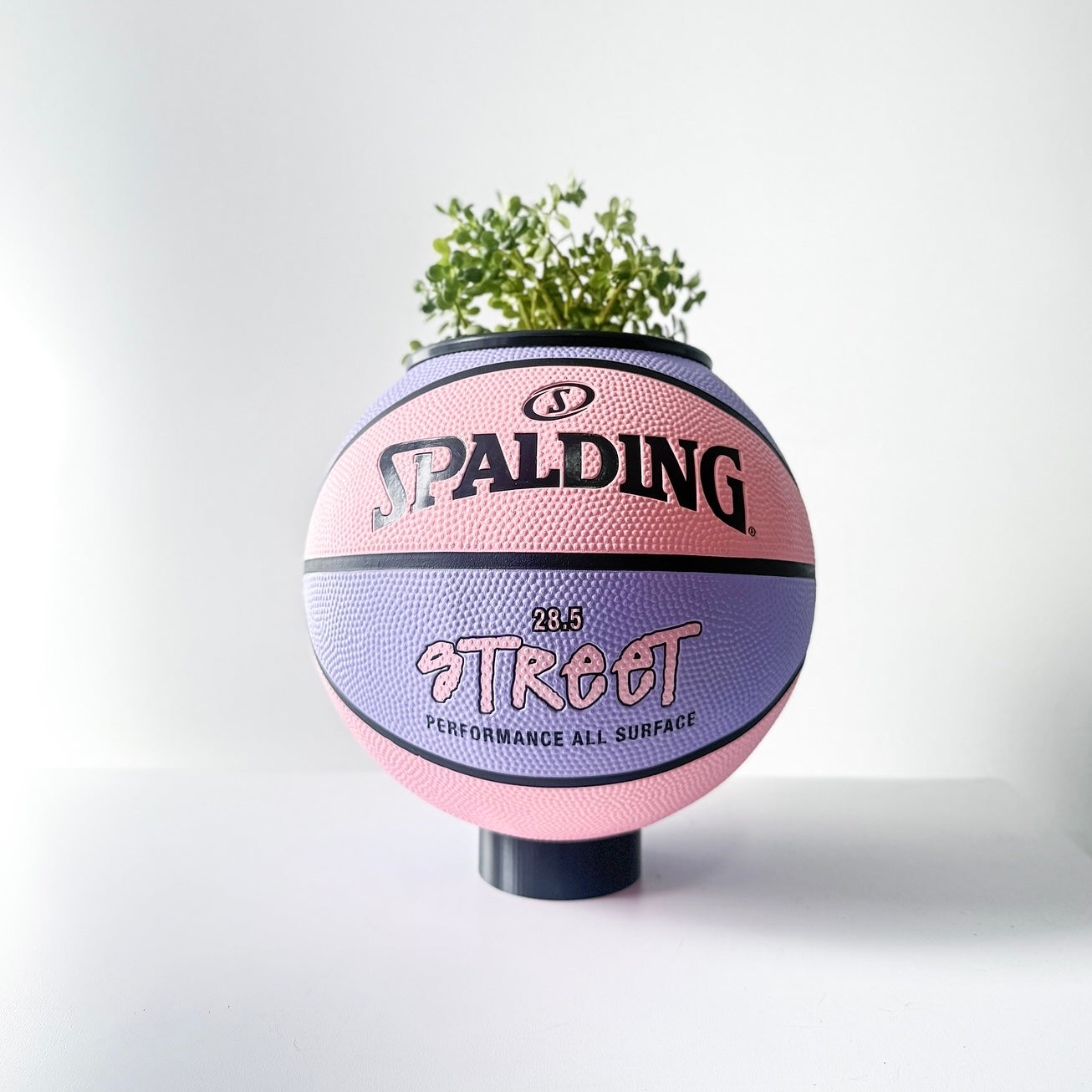 Matera basket plant Spalding Street pink