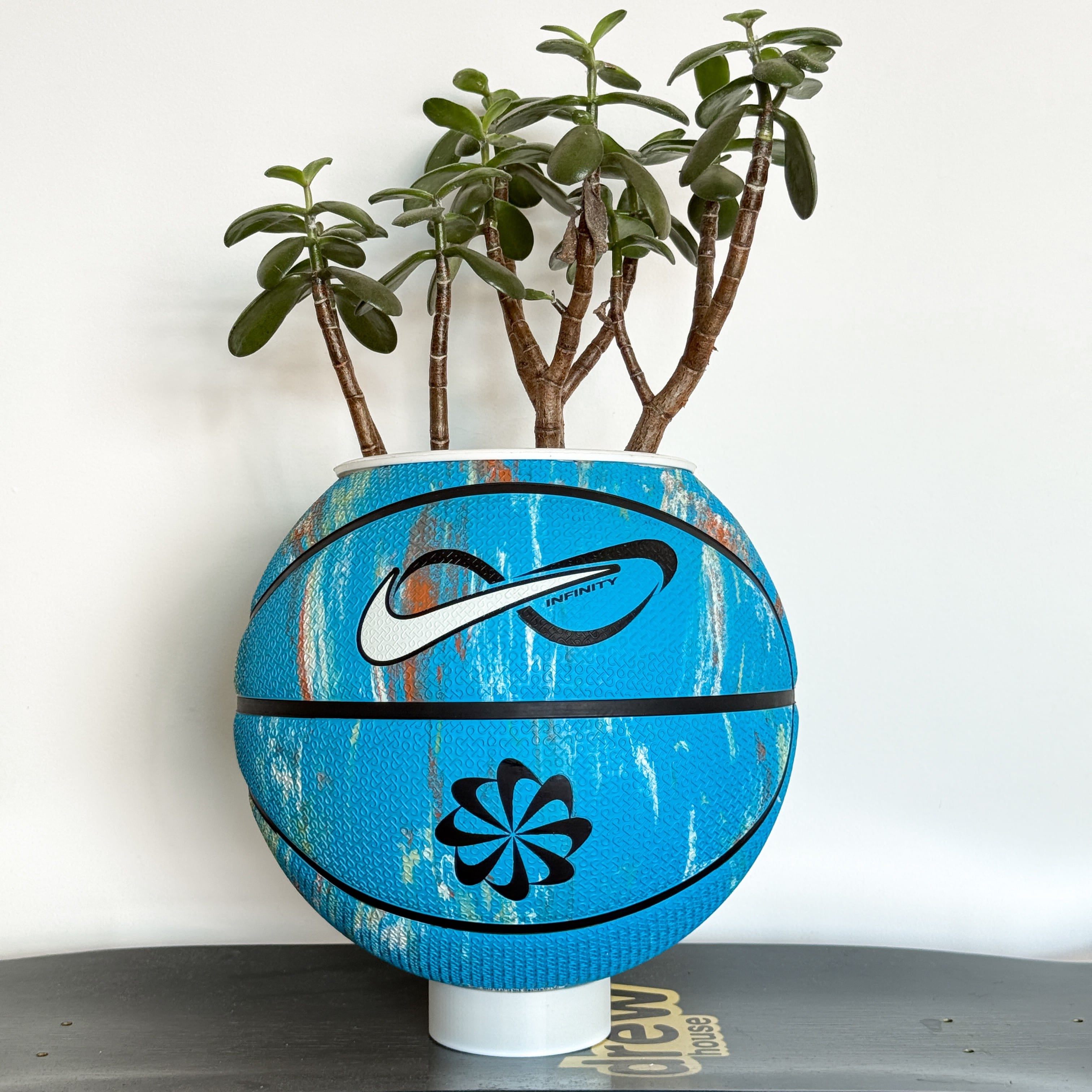 Matera basket plant blue nature