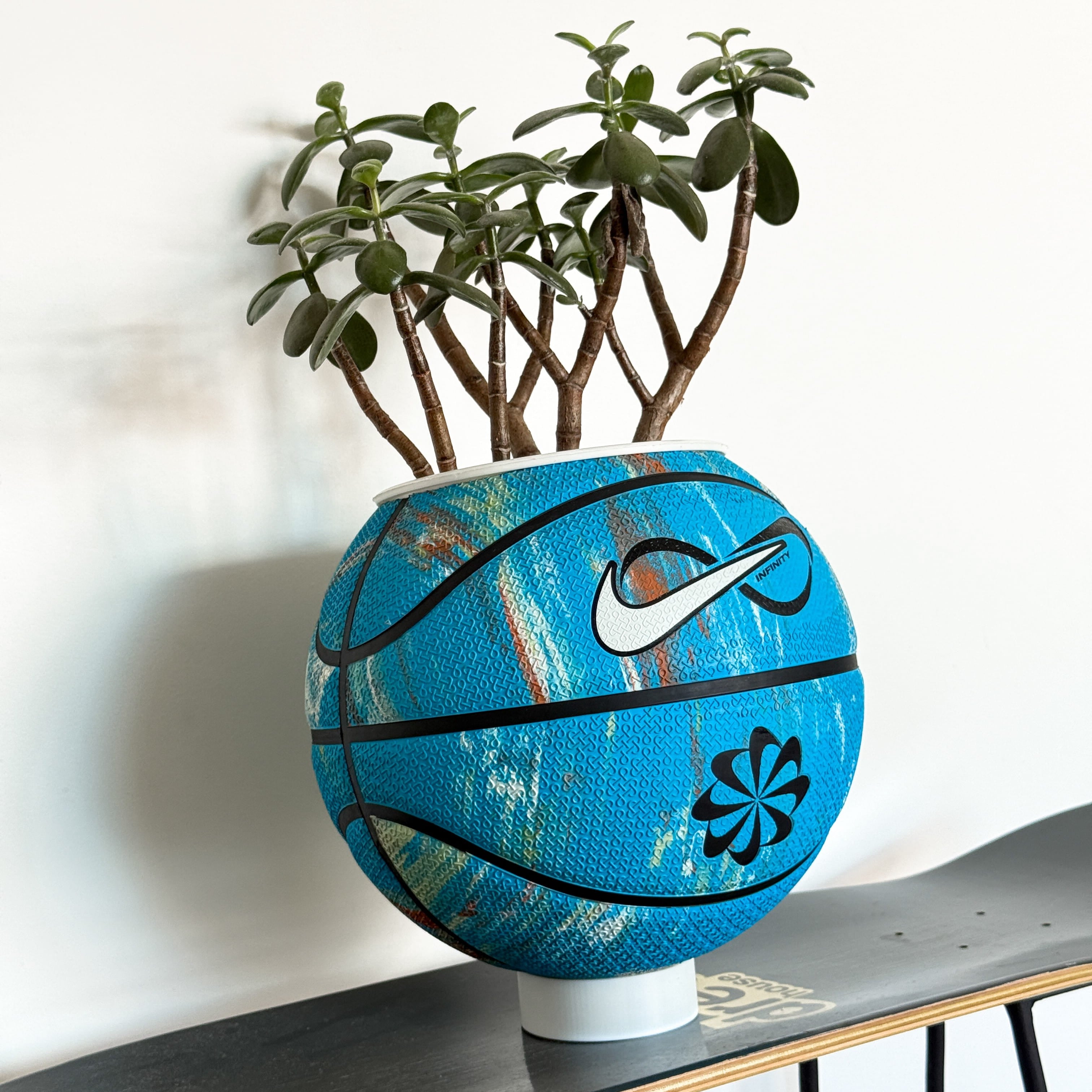 Matera basket plant blue nature