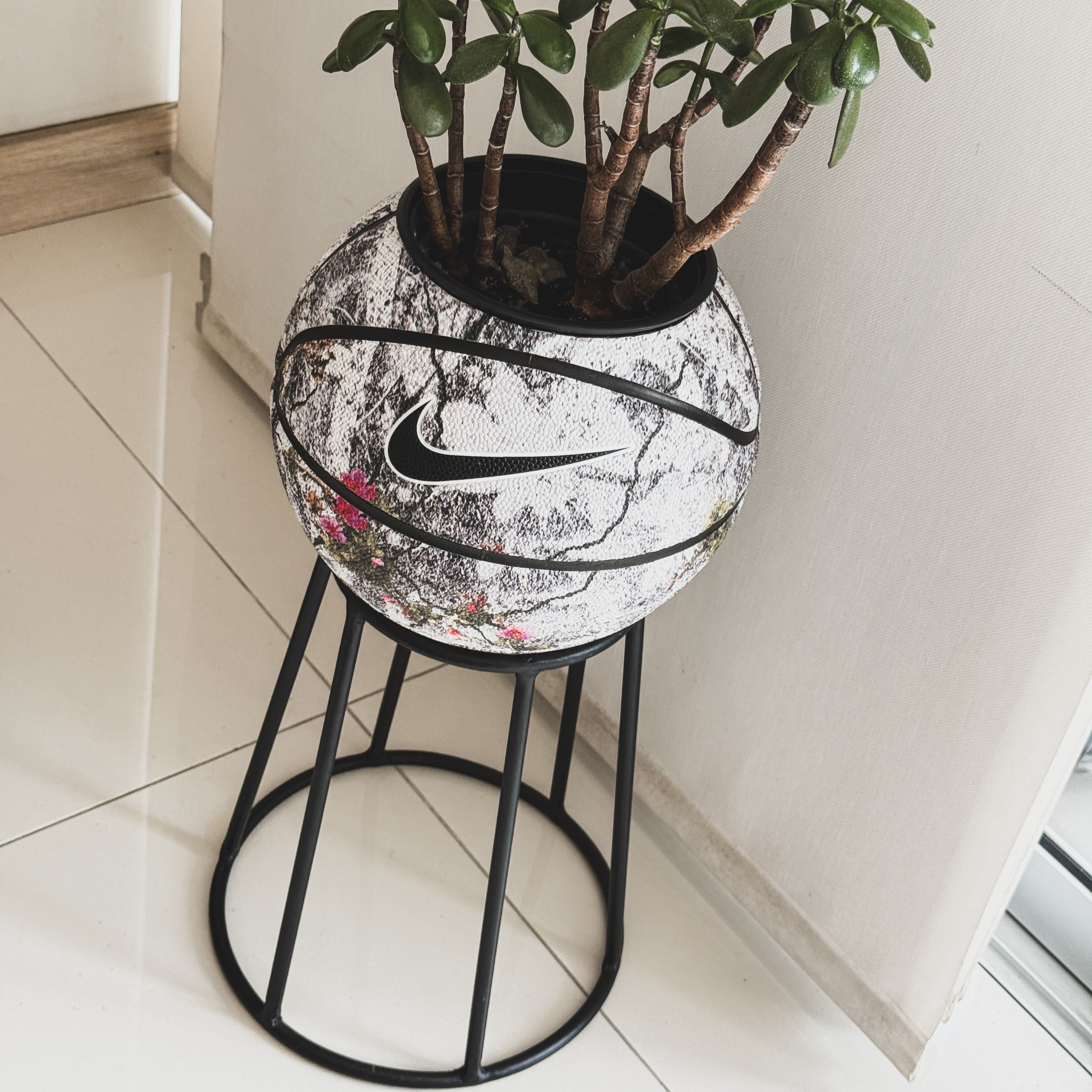 Matera basket plant Floral