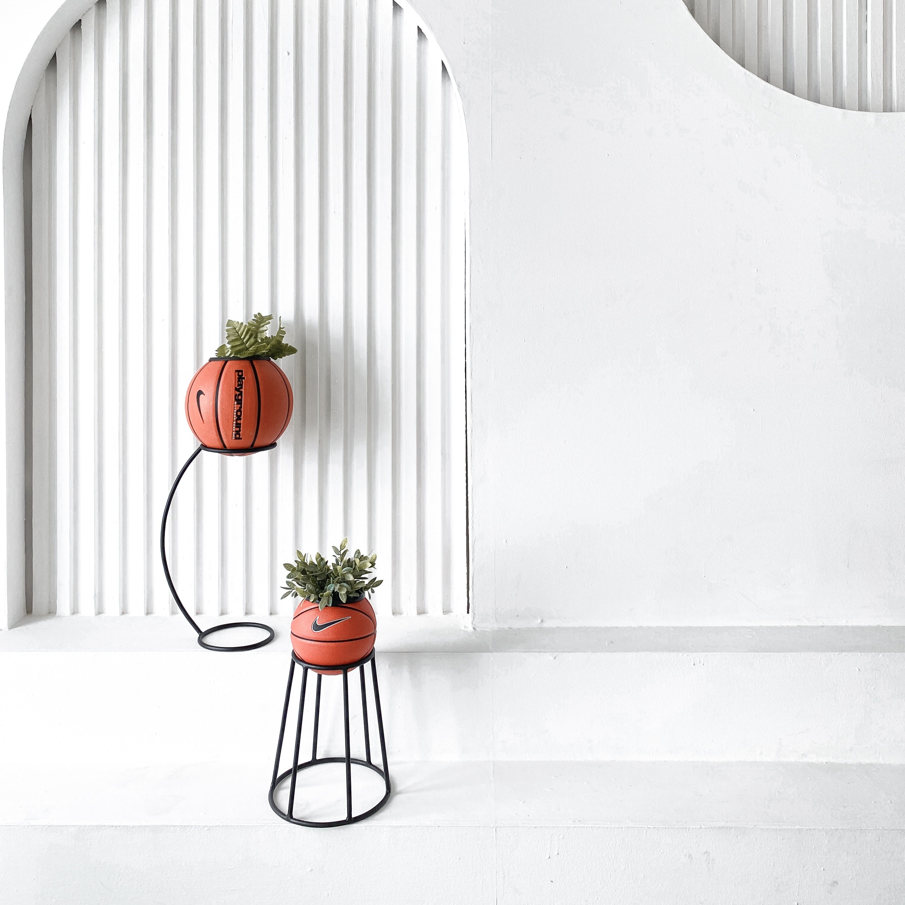 Soporte crooked plant