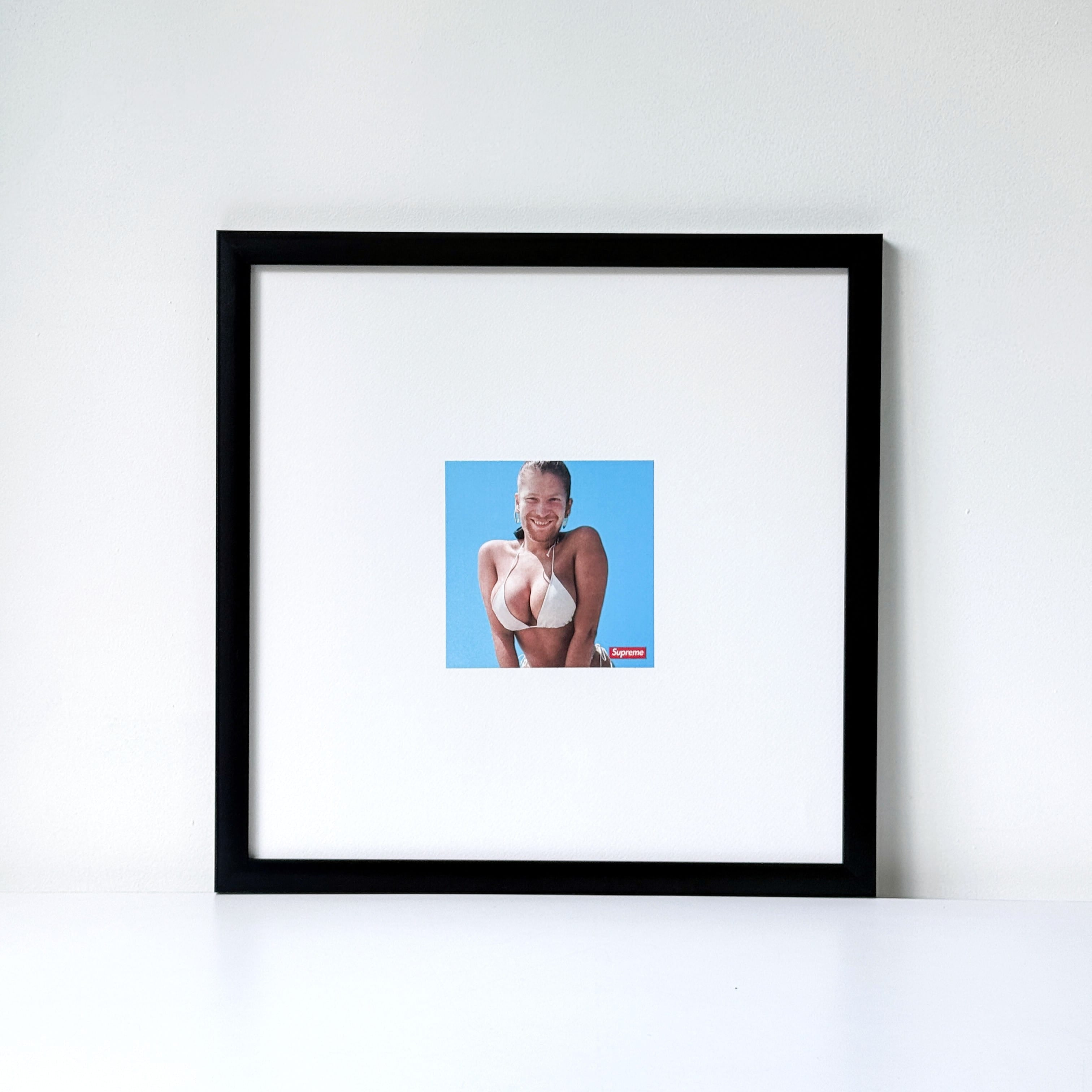 Cuadro Aphex Twin Sup.