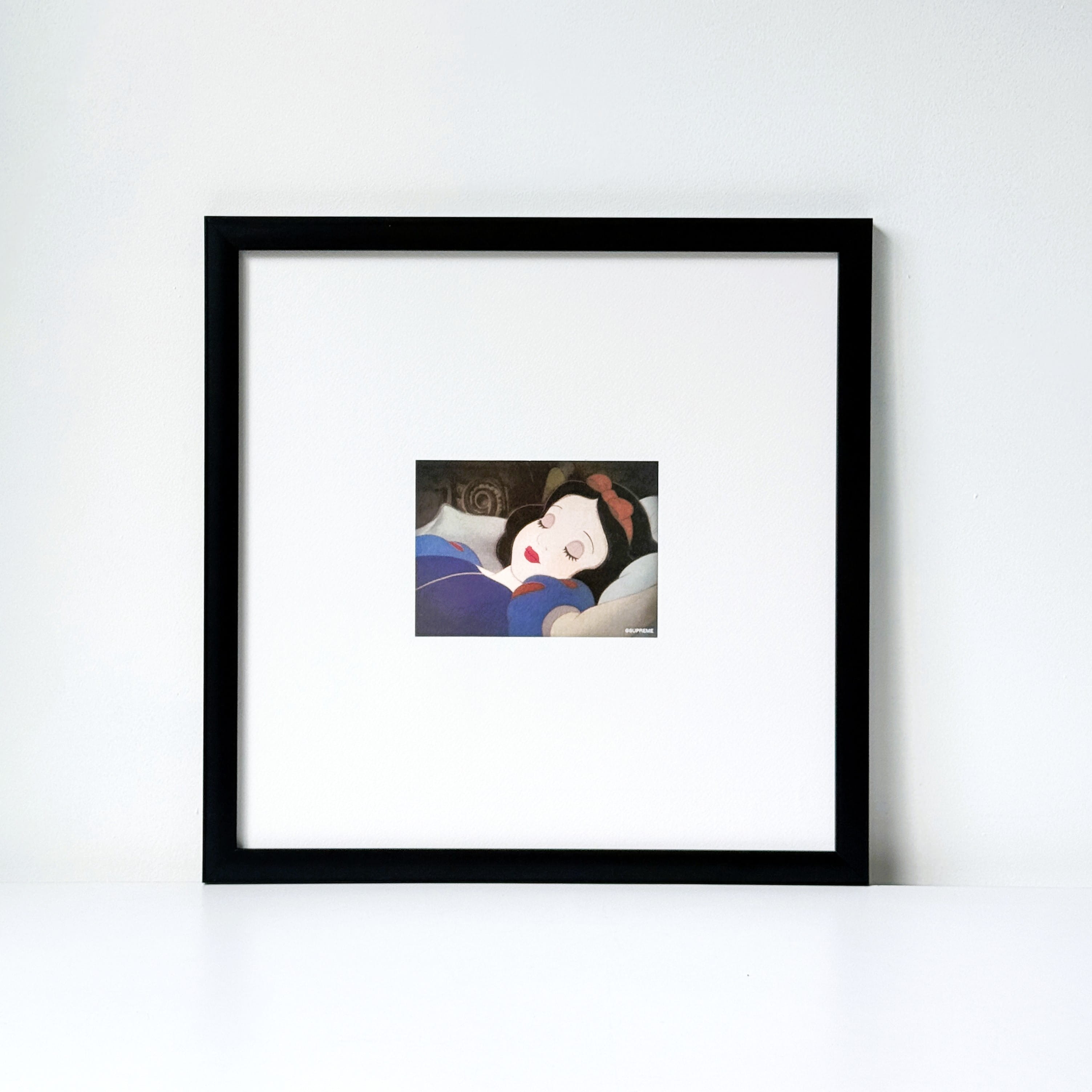 Cuadro Blanca nieves Sup.