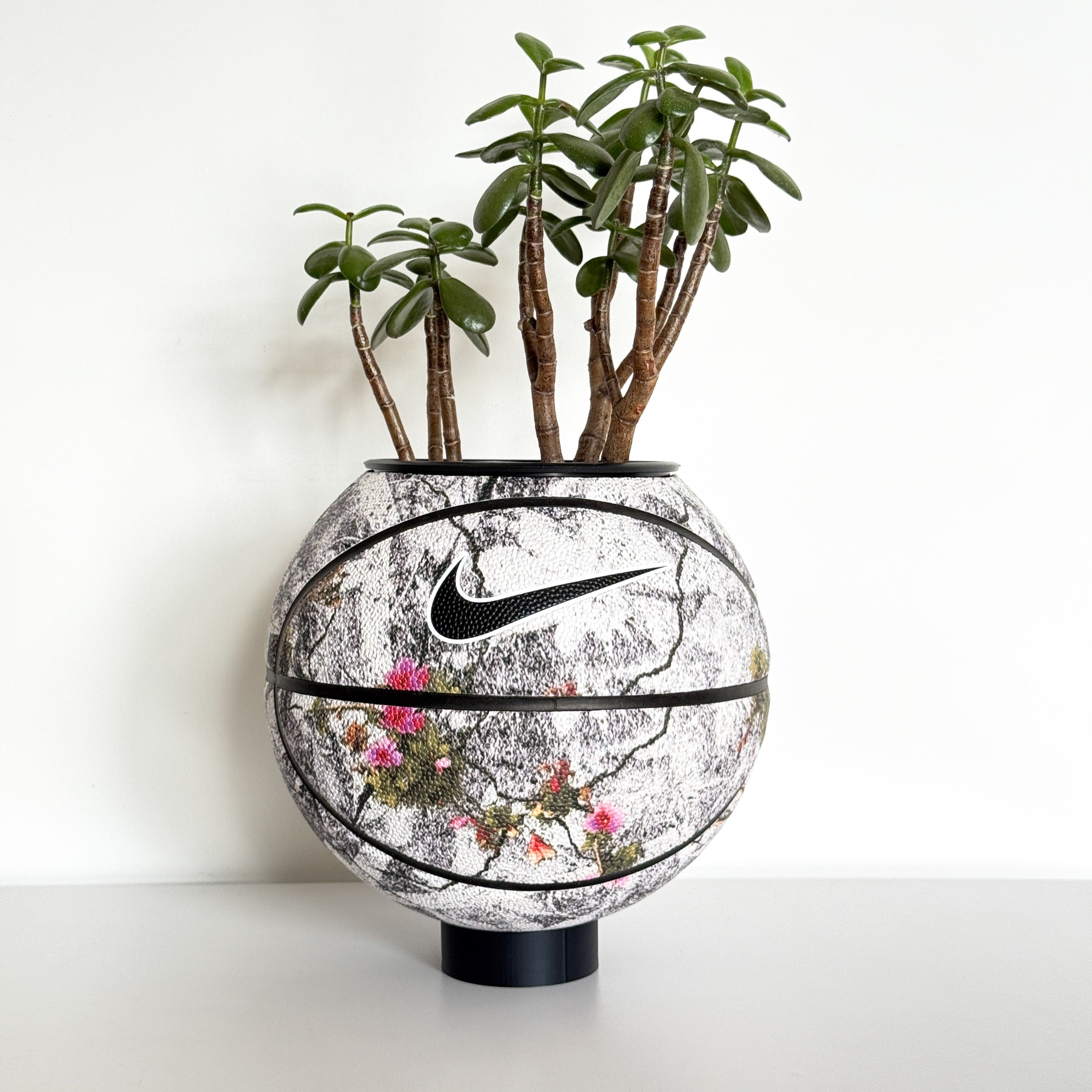 Matera basket plant Floral