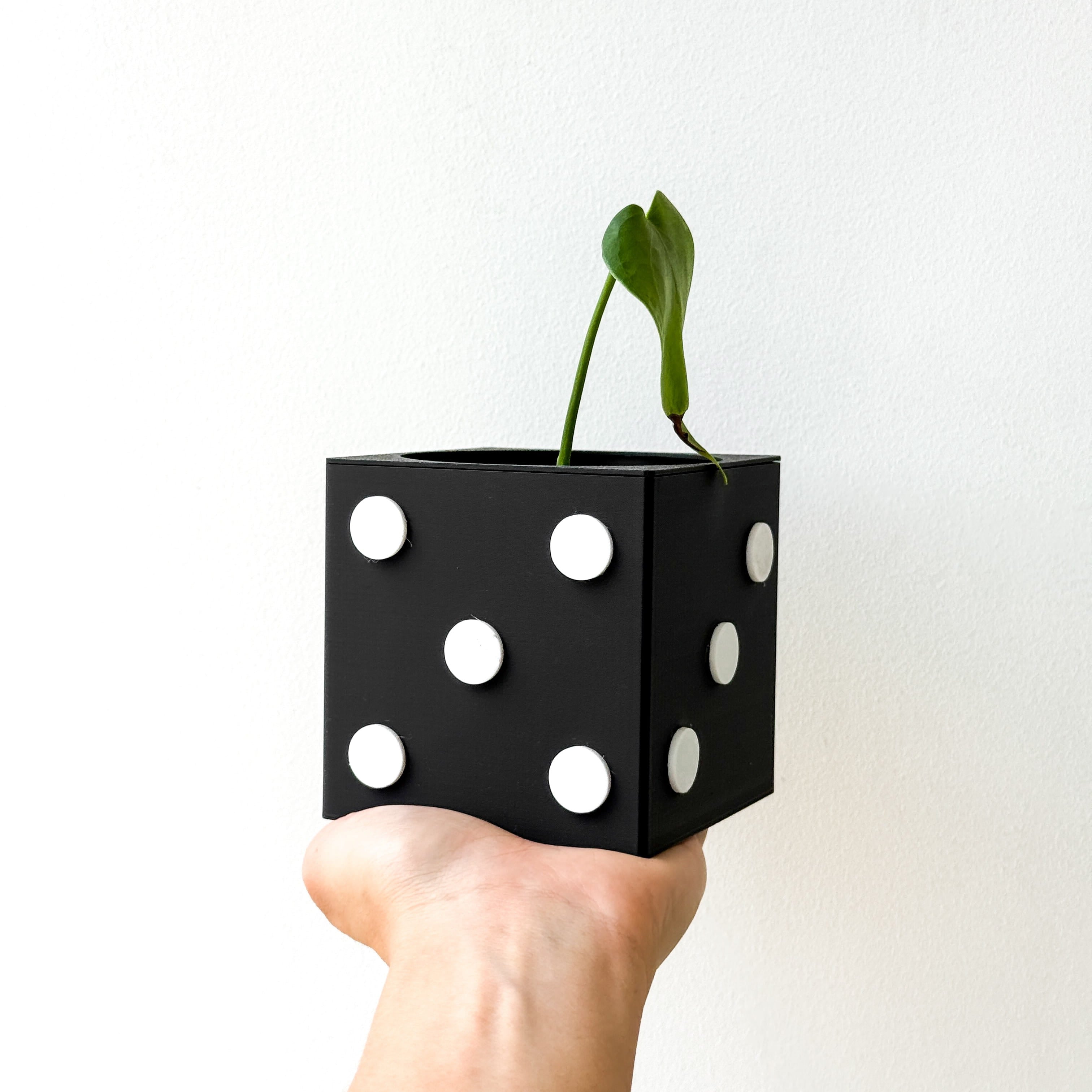 Matera Box planter game