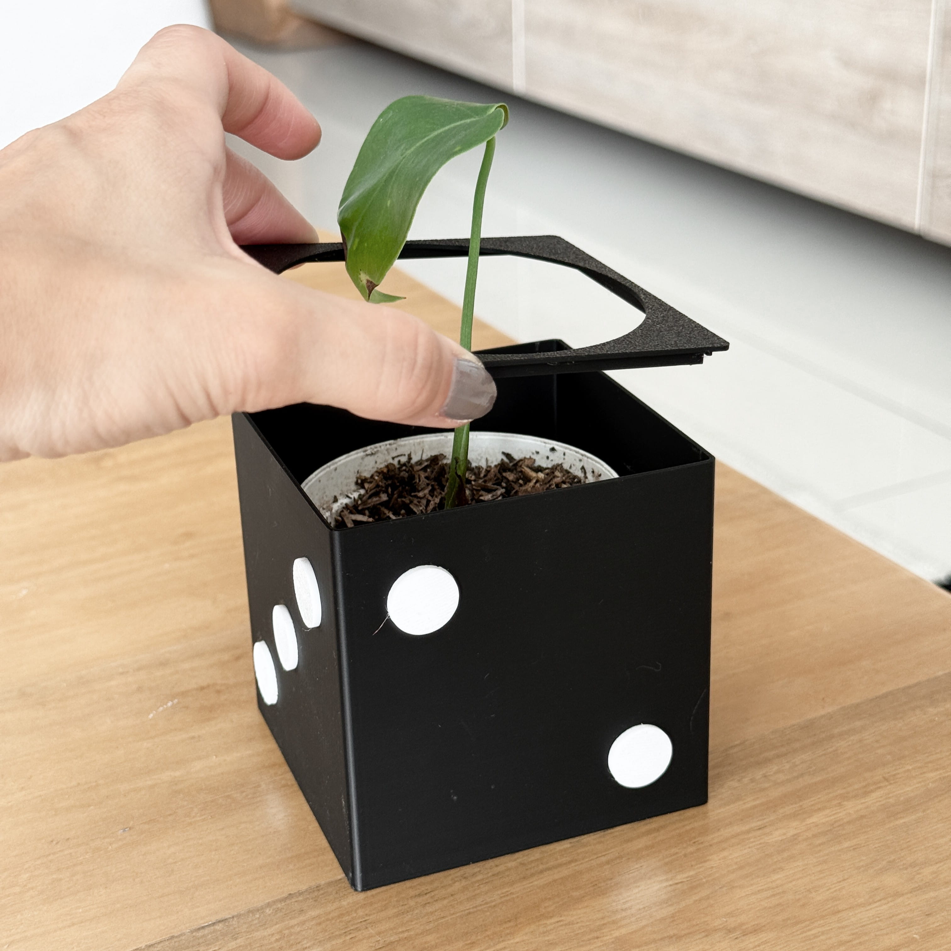 Matera Box planter game