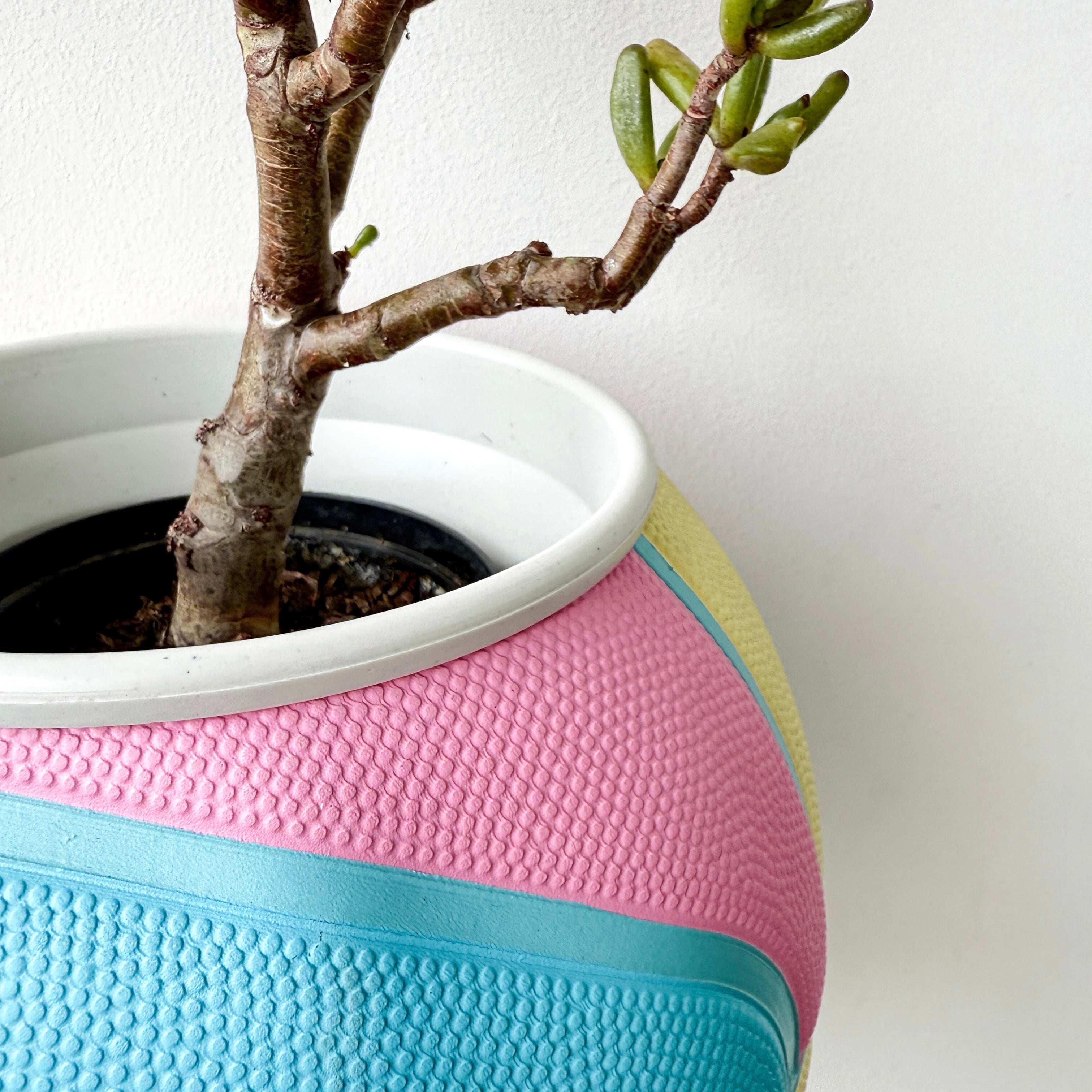 Matera basket plant pastel