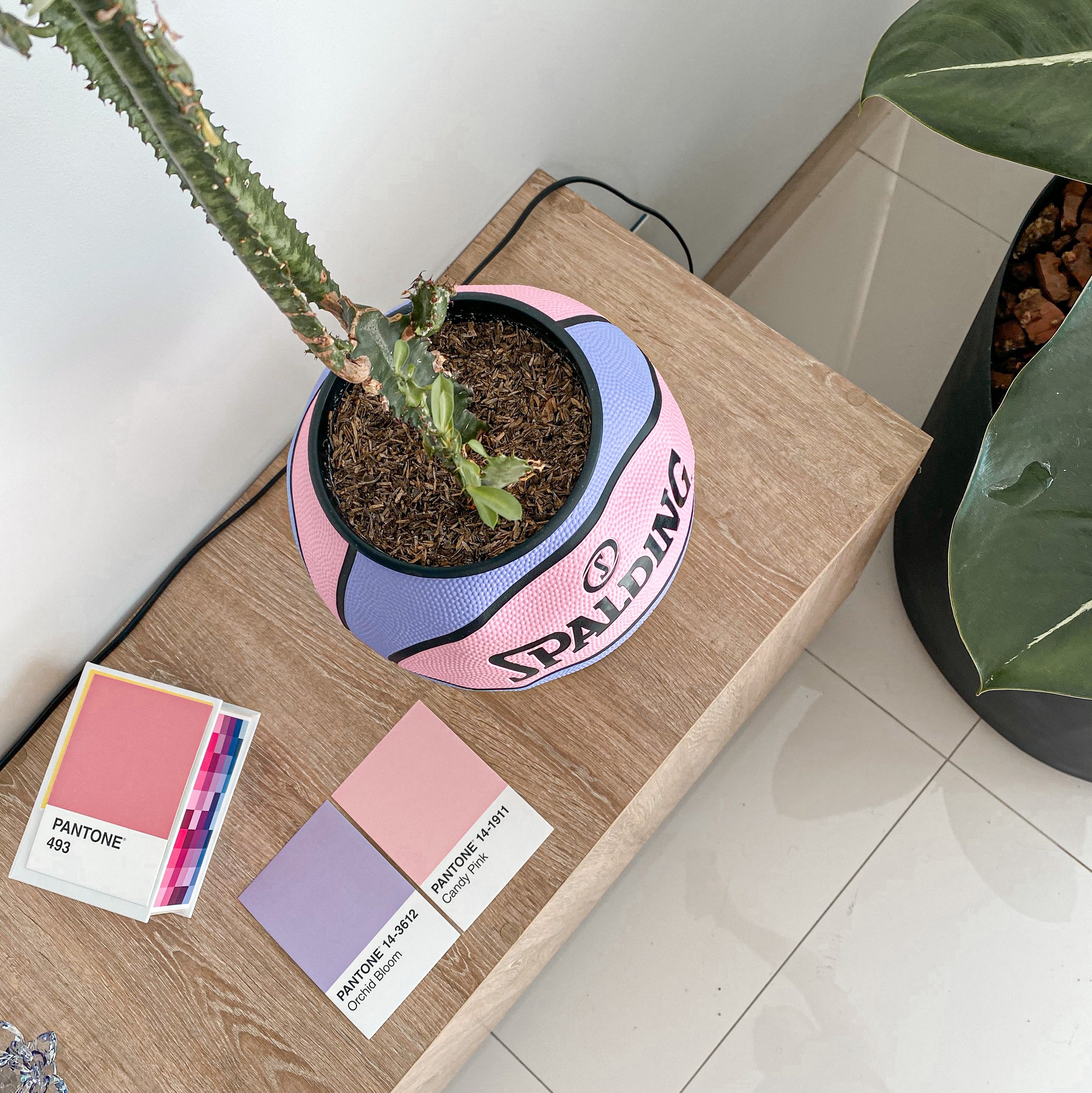 Matera basket plant Spalding Street pink