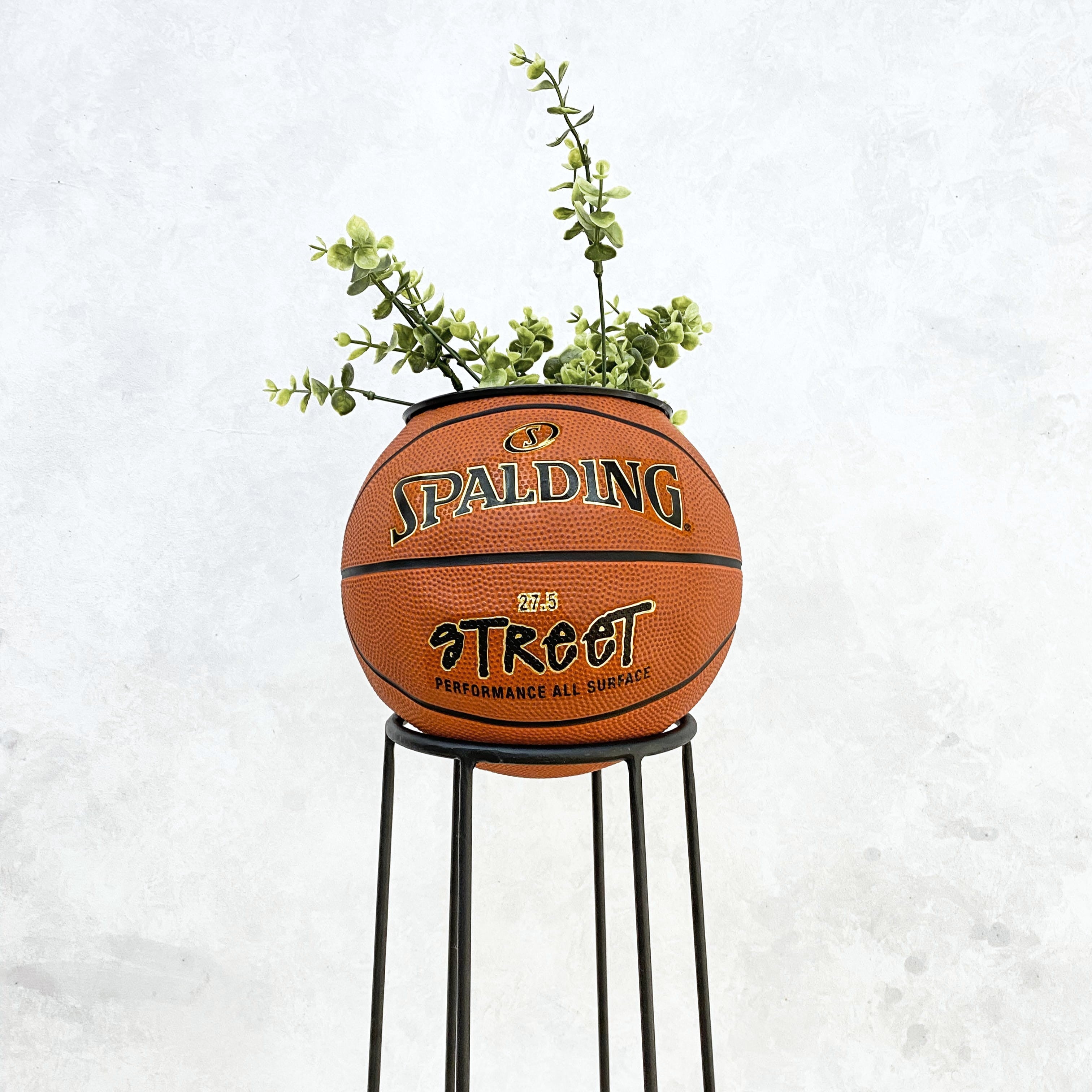 Matera basket plant Spalding Street