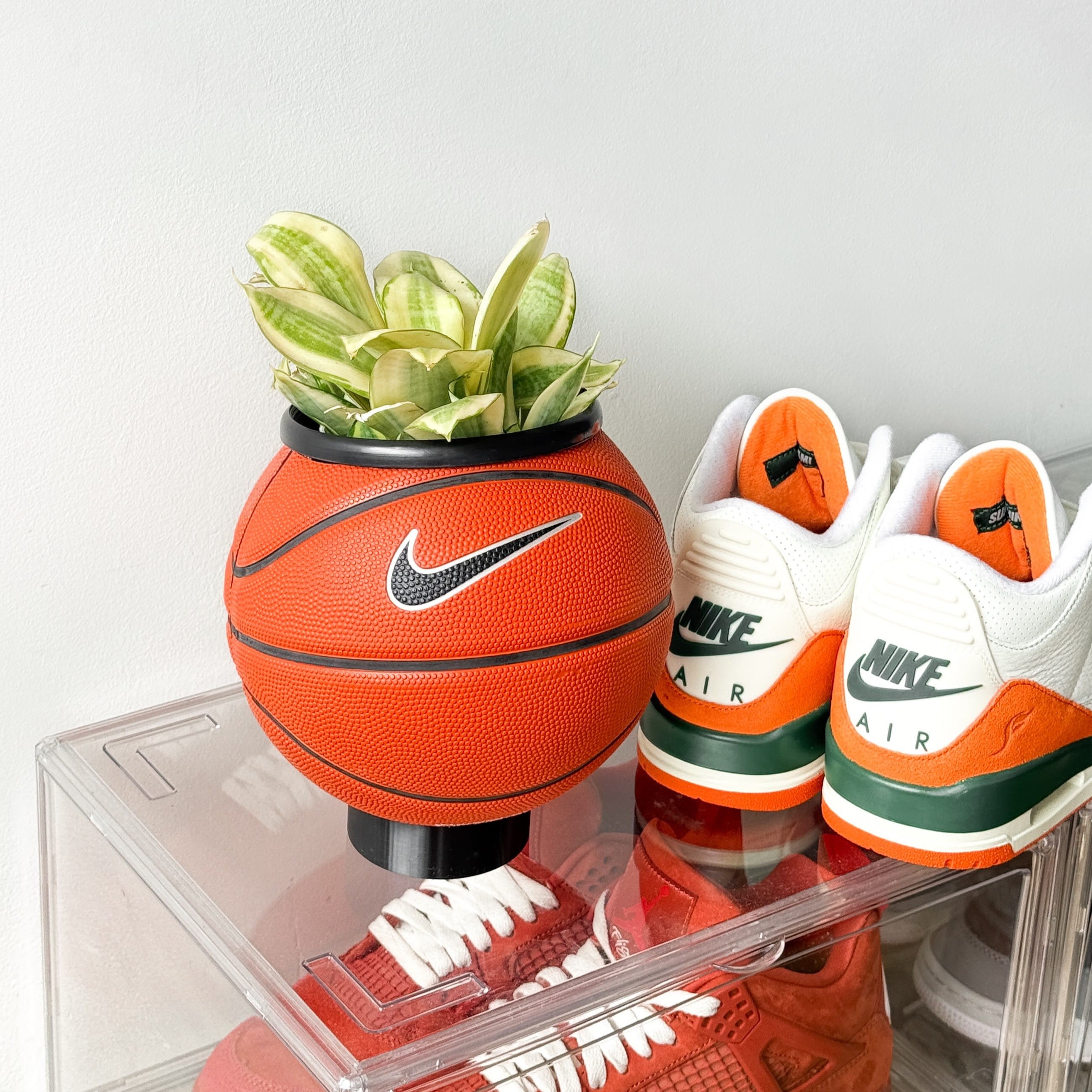 Matera mini basket plant clasica