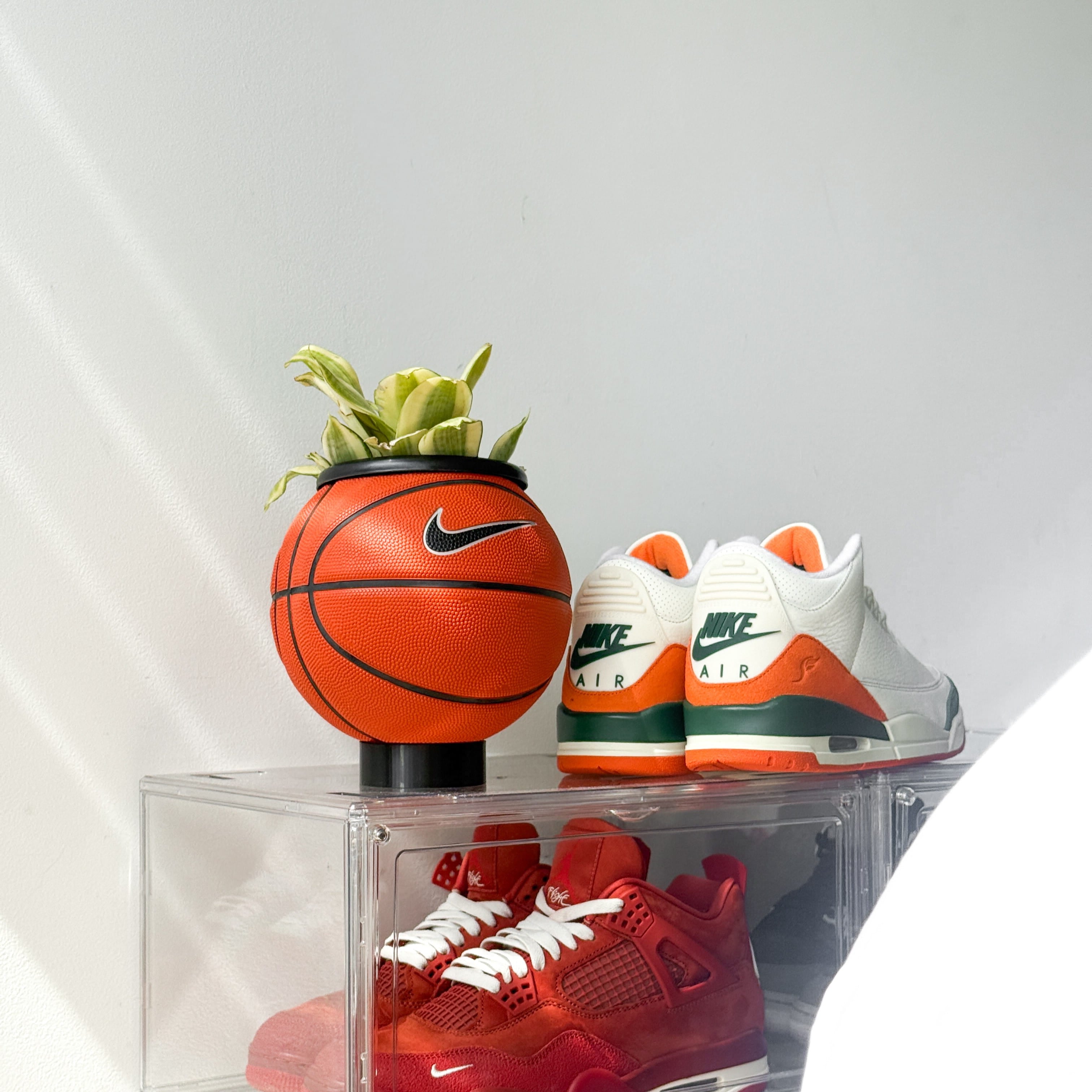 Matera mini basket plant clasica