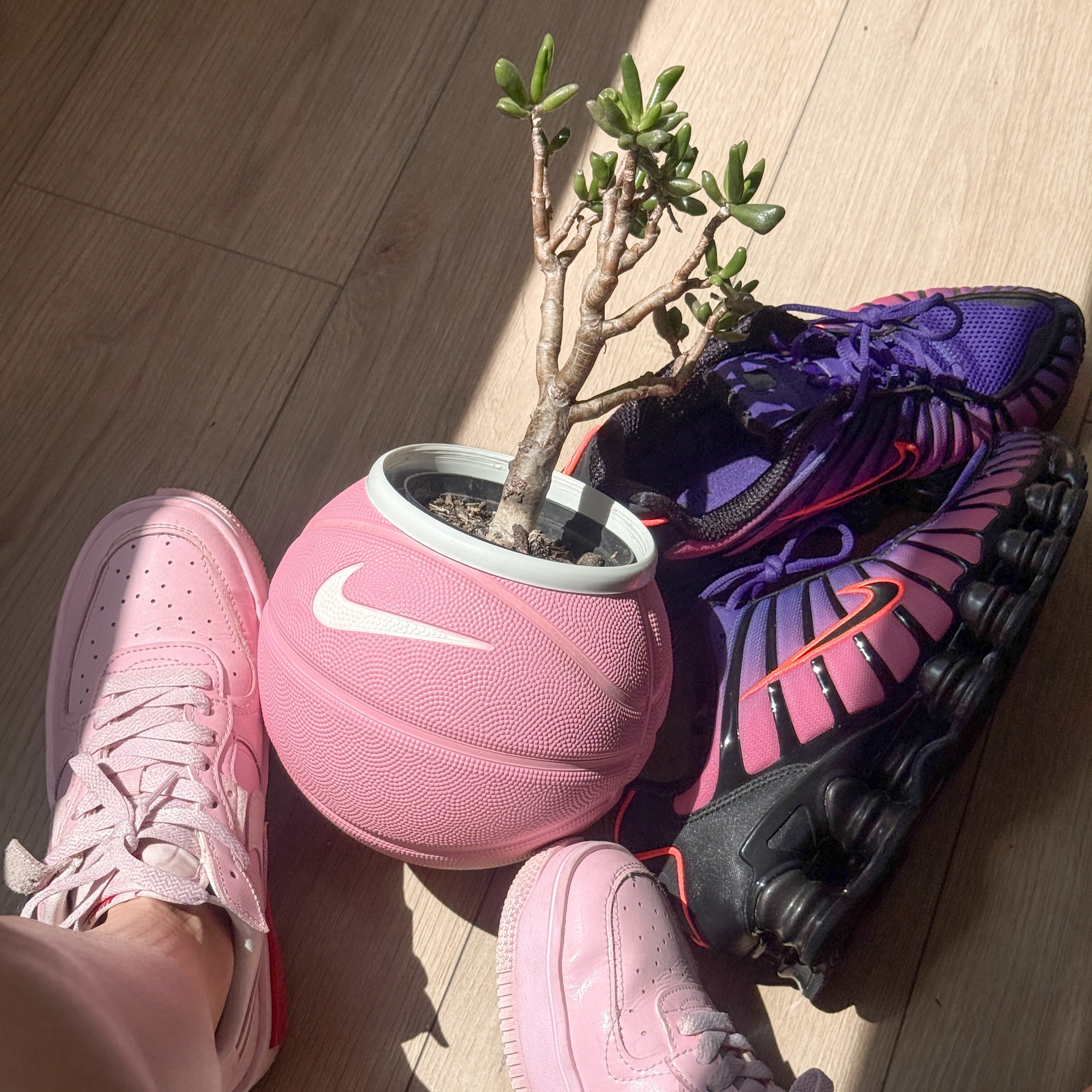 Matera mini basket plant Clasic pink