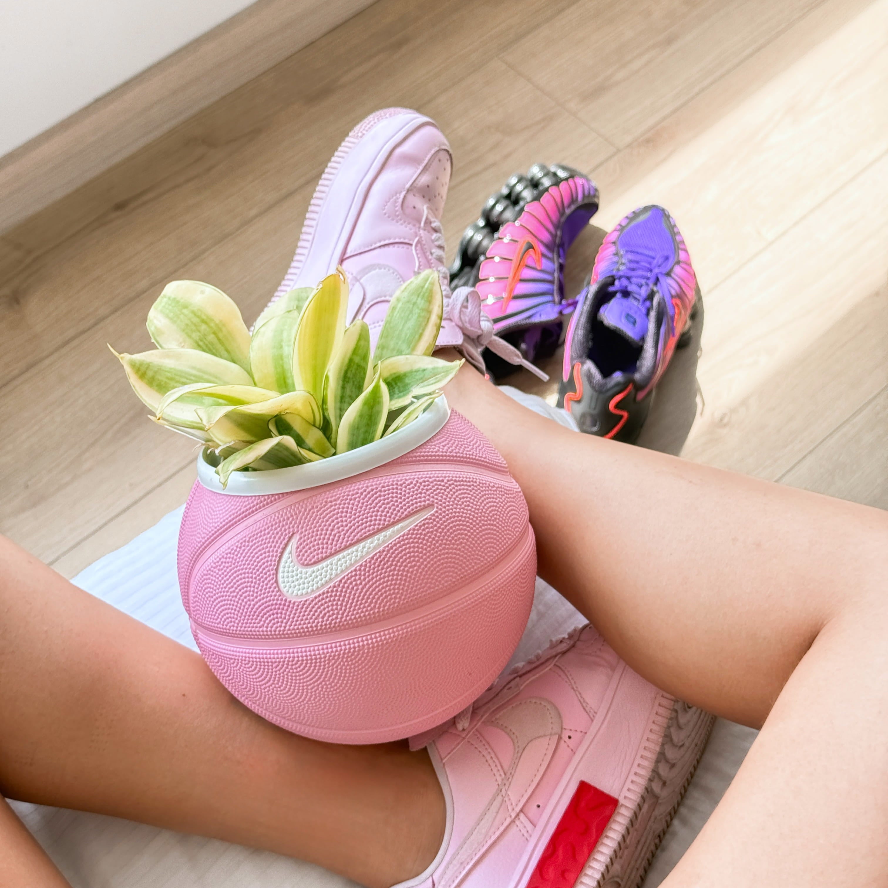 Matera mini basket plant Clasic pink