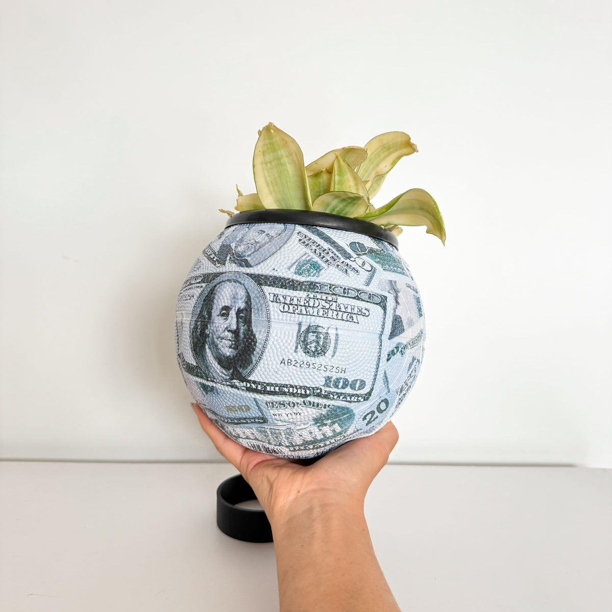 Matera Mini basket plant Money