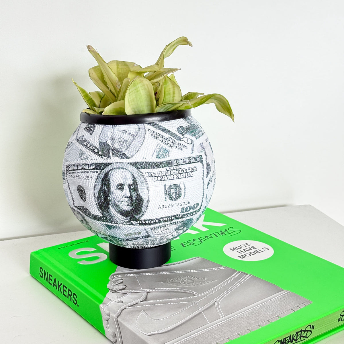 Matera Mini basket plant Money