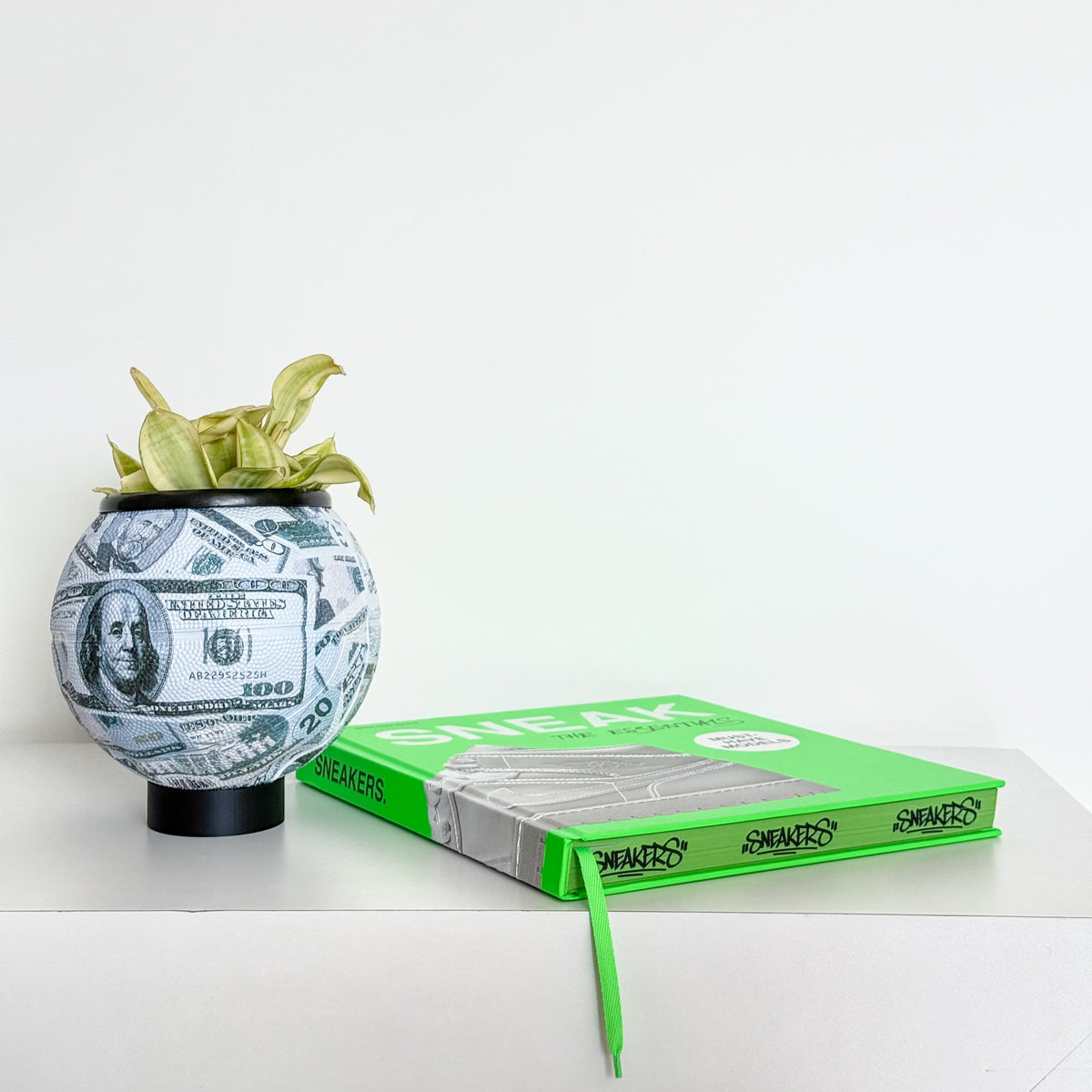 Matera Mini basket plant Money