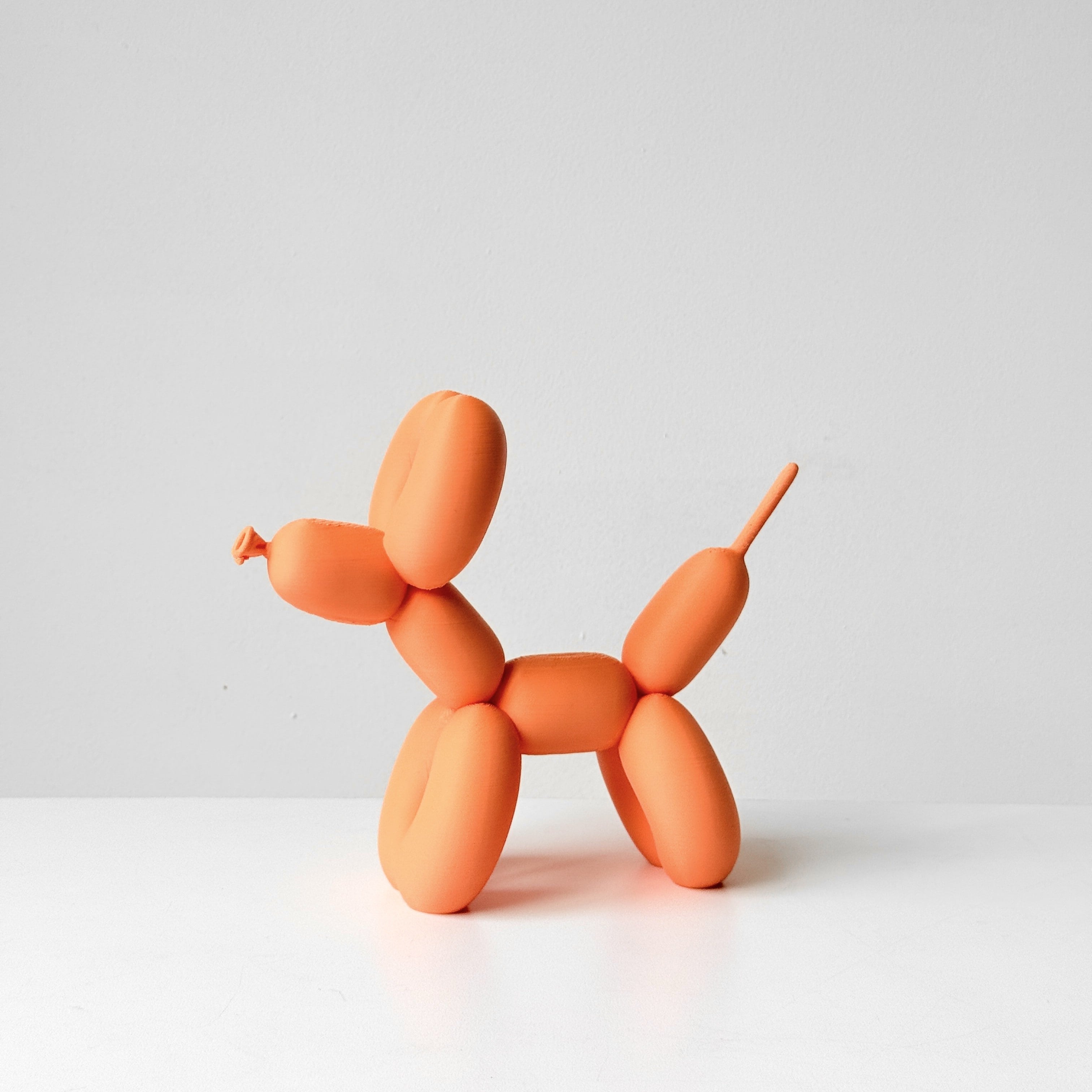 Set rocky clásico + Rocky poopin