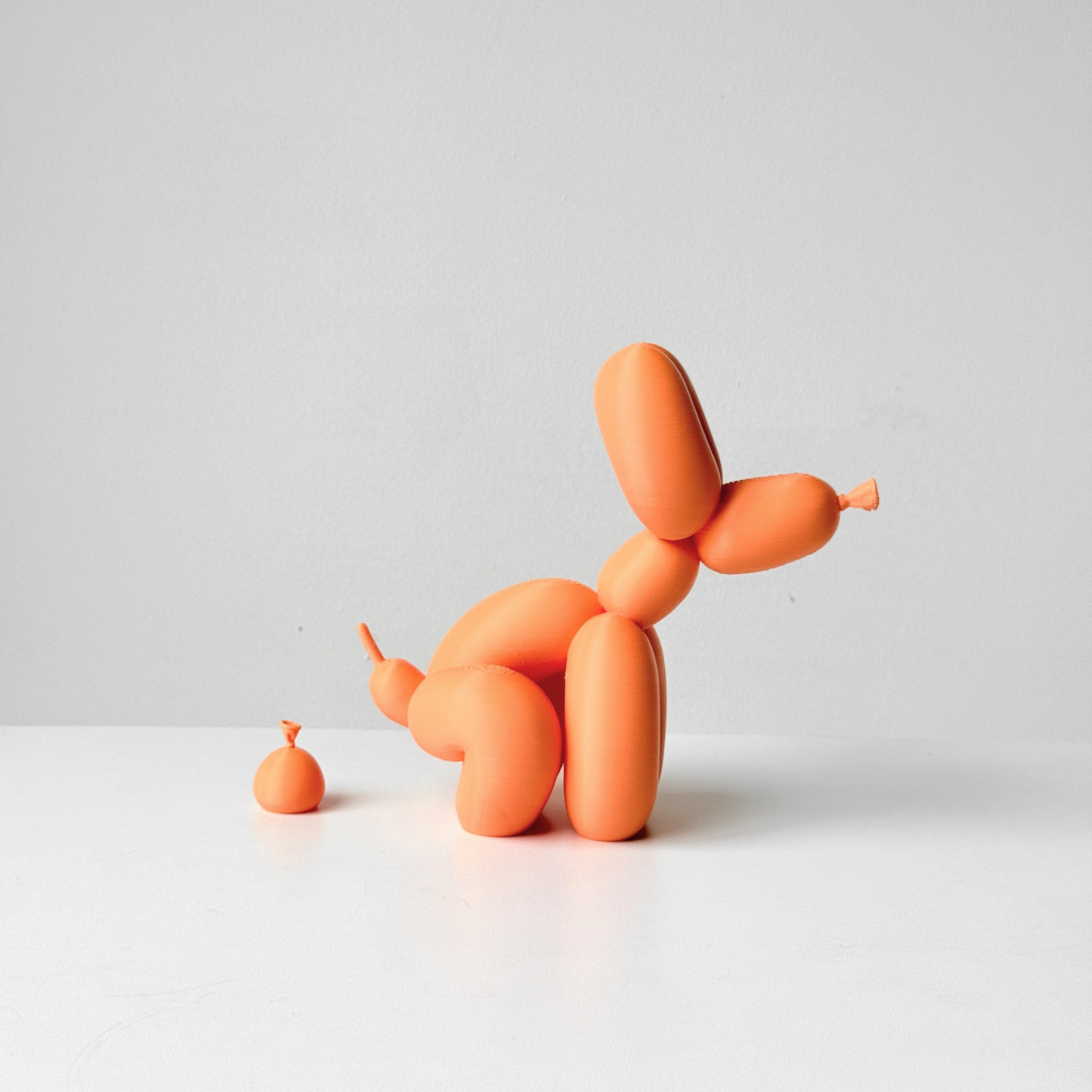 Set Rocky poopin + Rocky yoga