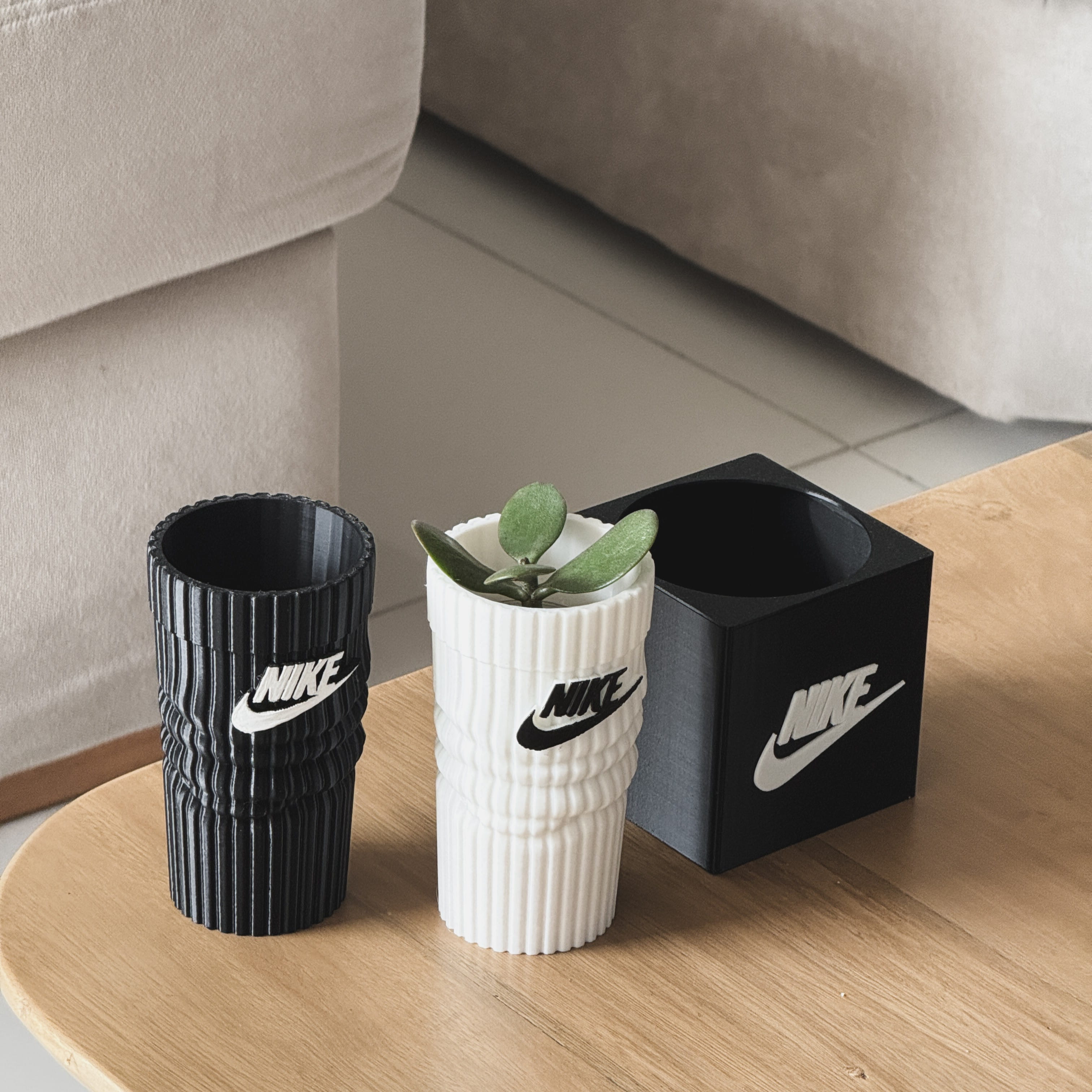 Matera Sock plant one